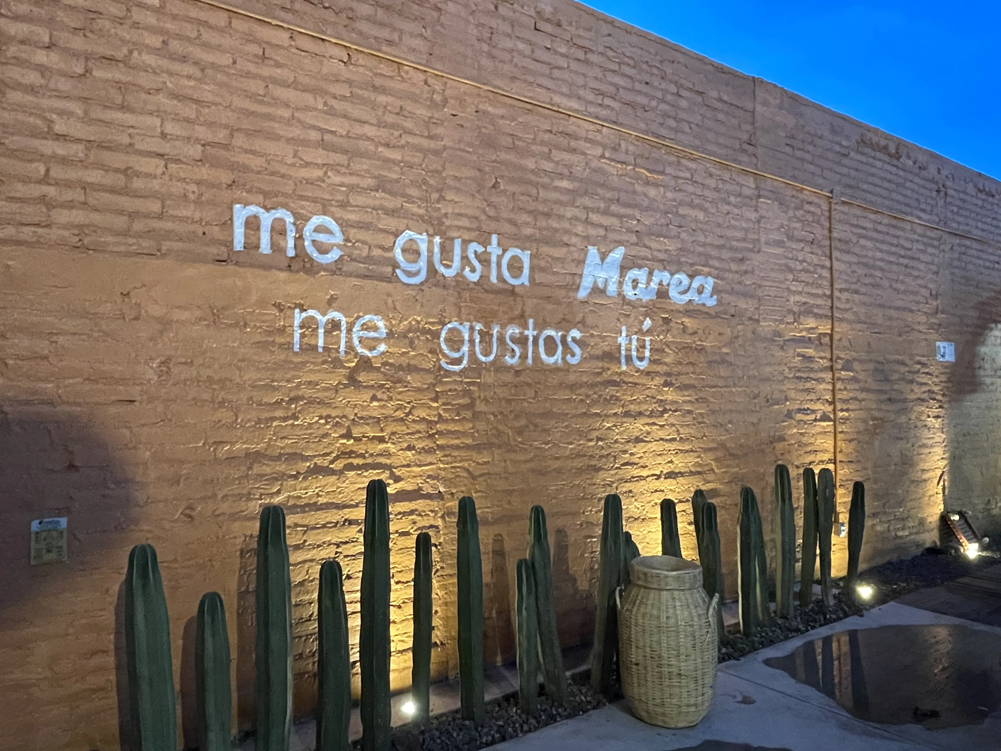 Marea cocina de puerto Restaurante image 3