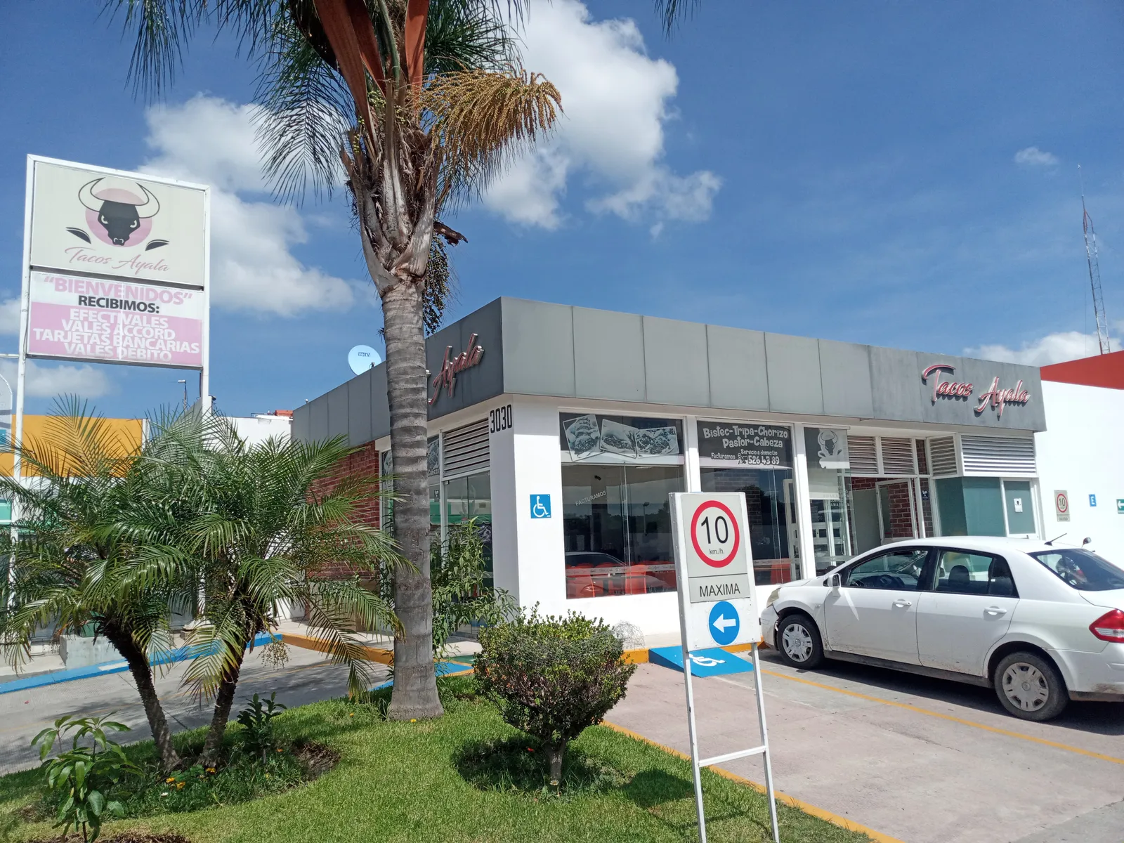 Tacos Ayala image 1