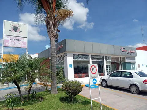 Tacos Ayala image 1