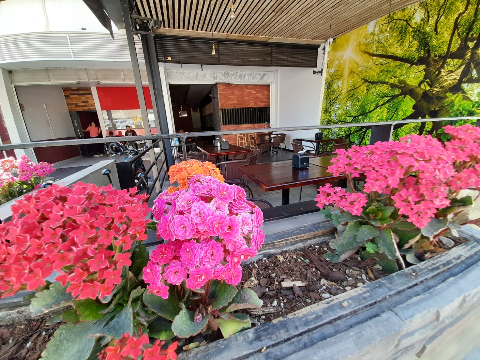 LOS MURALES image 10