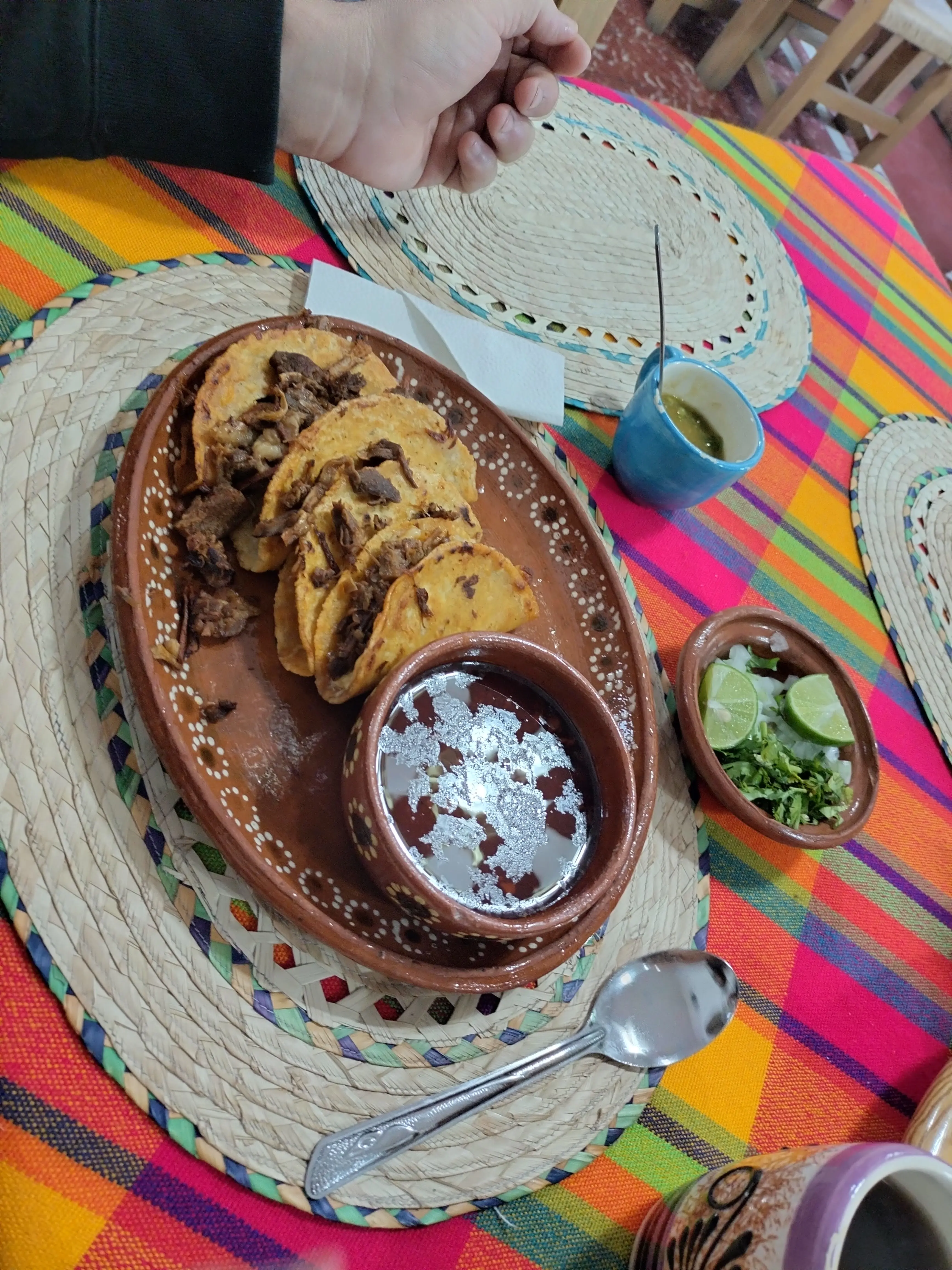 El Rincón de Michoacán image 8