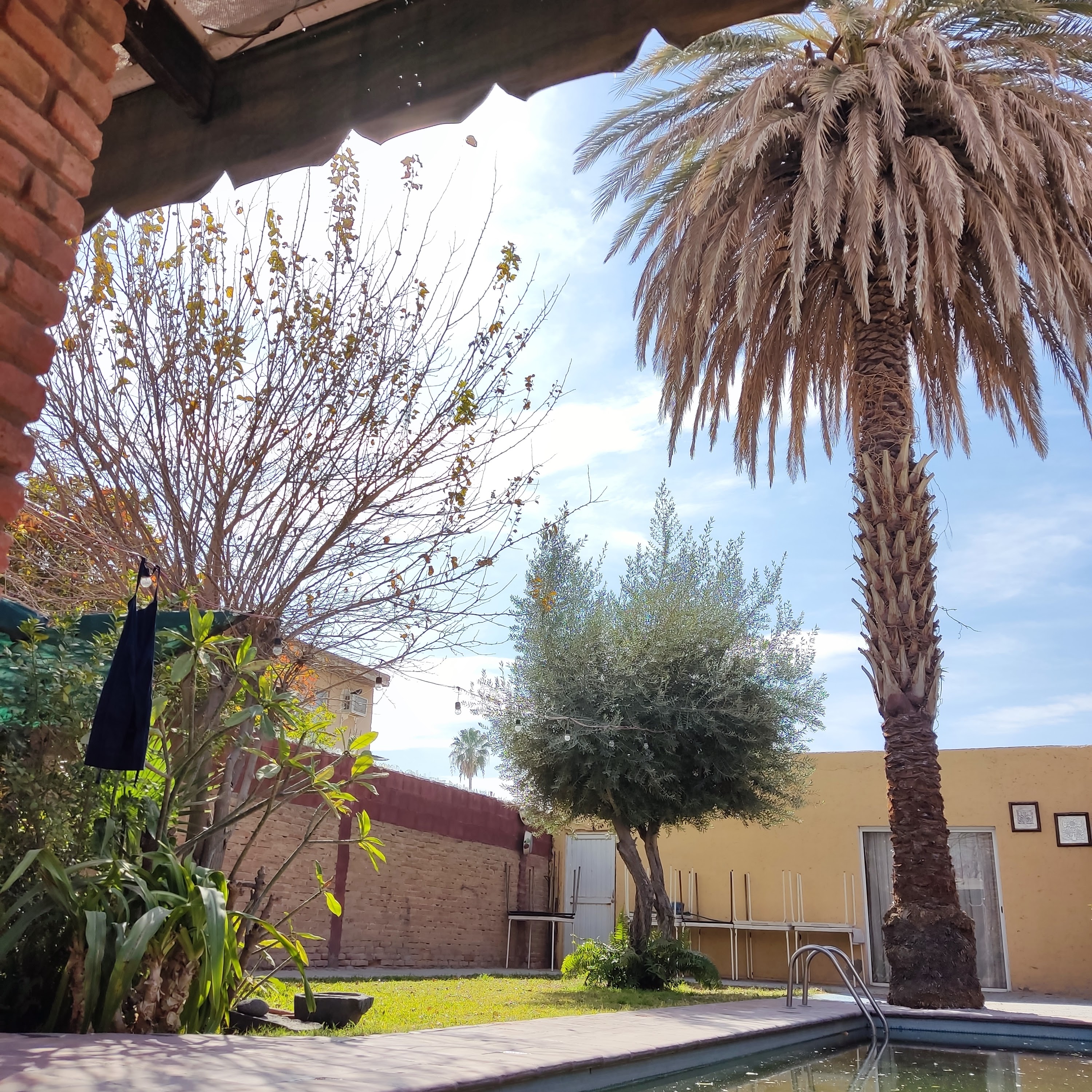 Restaurante Las Flores image 4