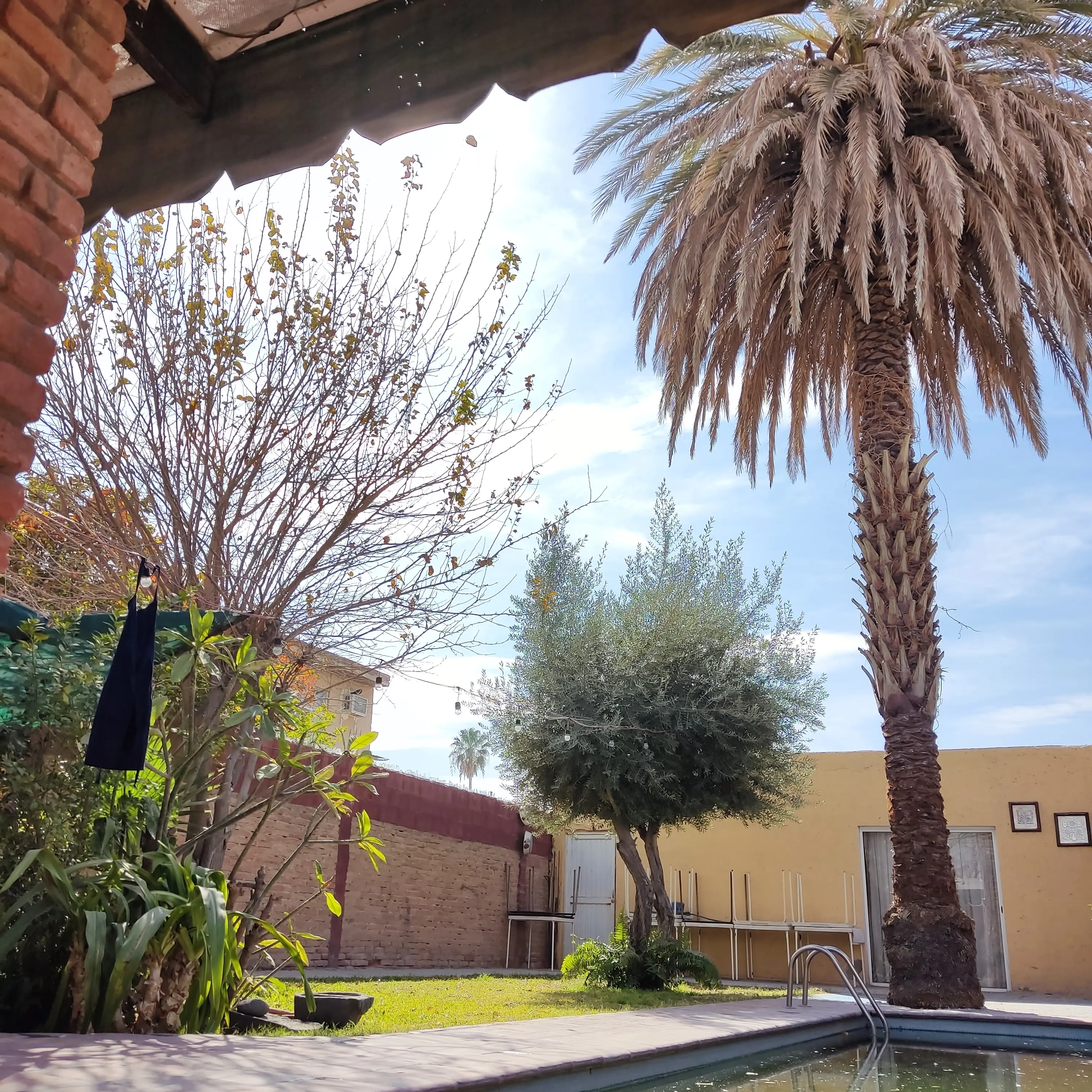 Restaurante Las Flores image 4