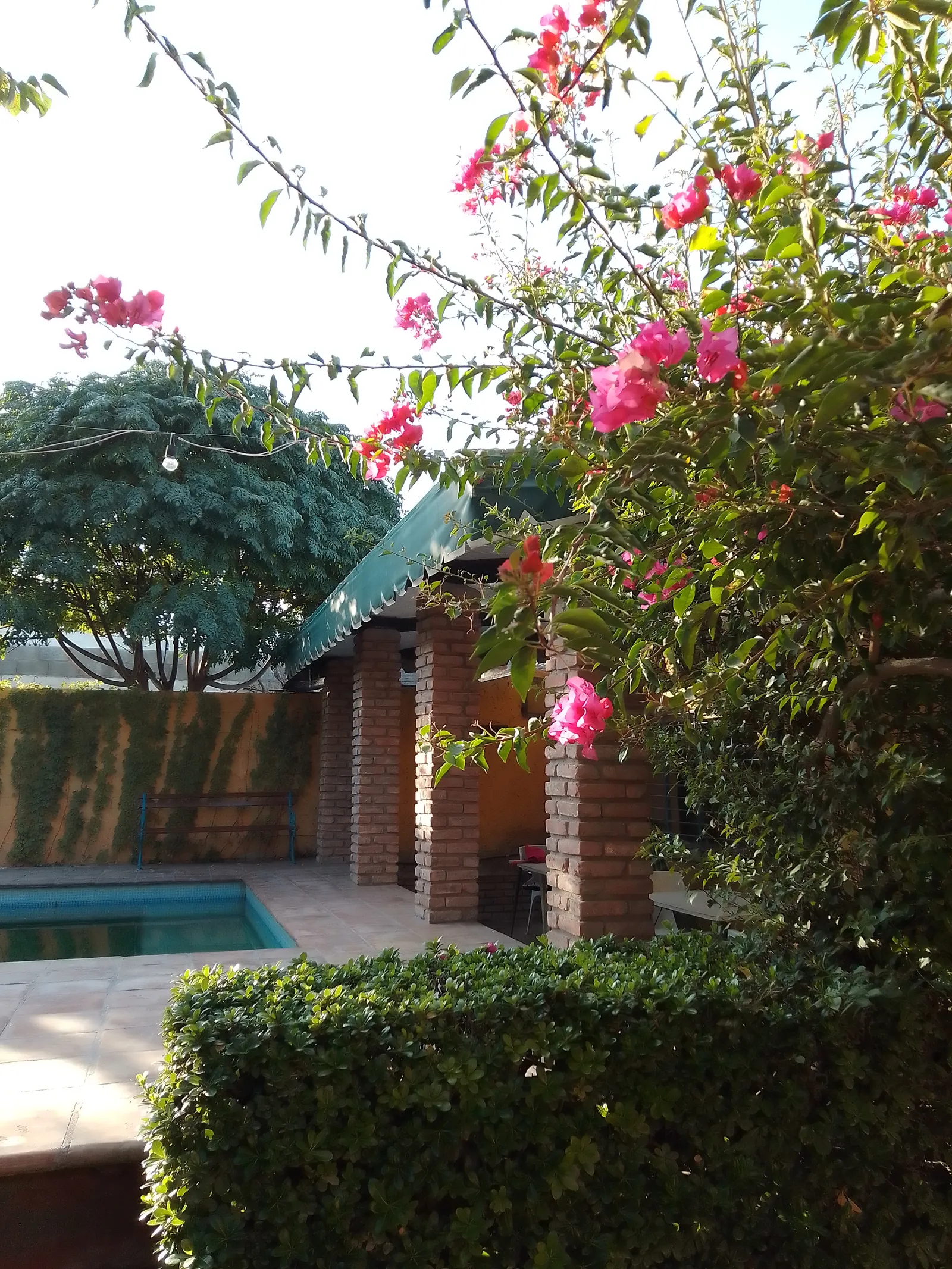 Restaurante Las Flores image 6