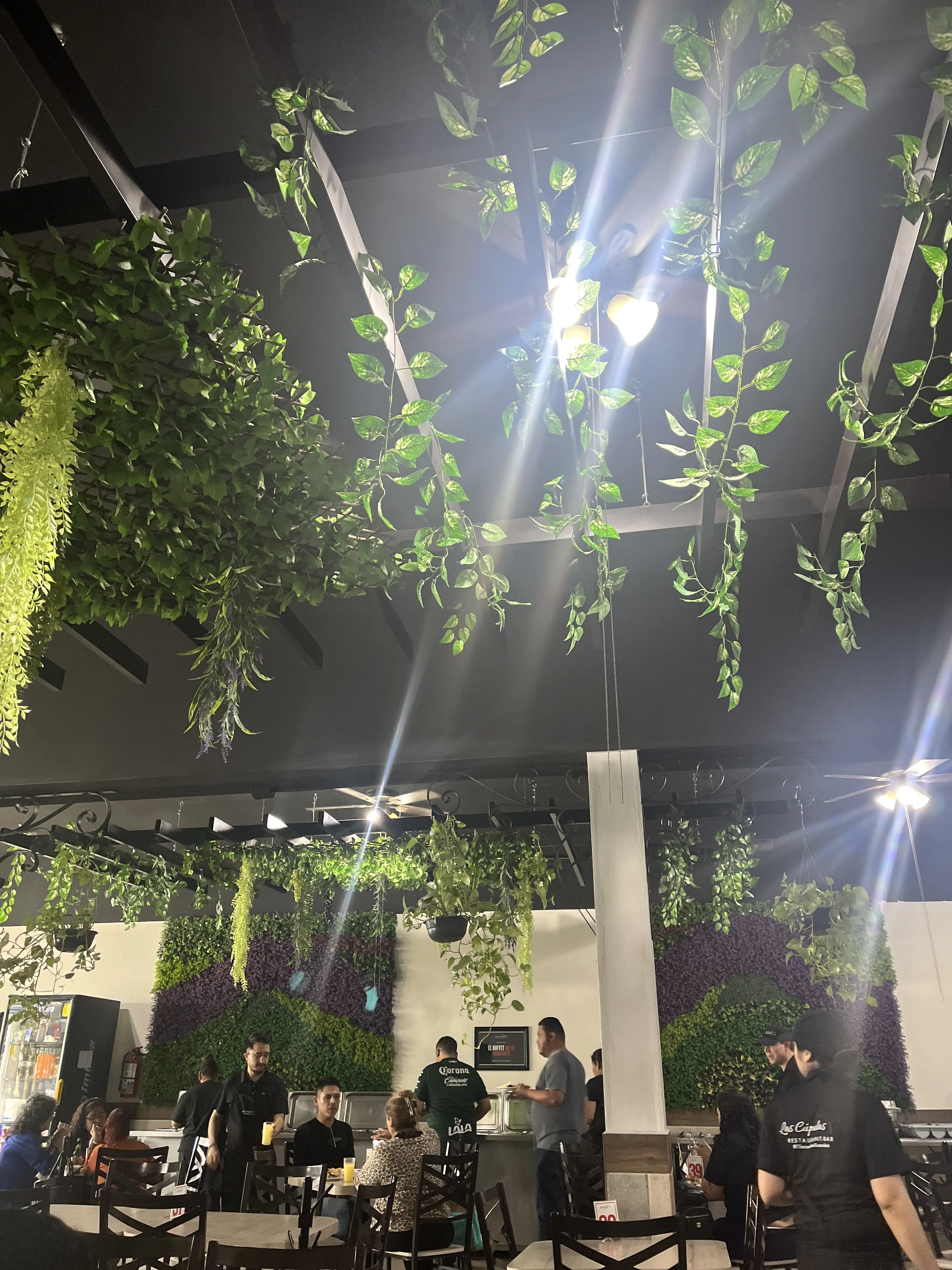 Las Cúpulas Restaurant-Bar image 7