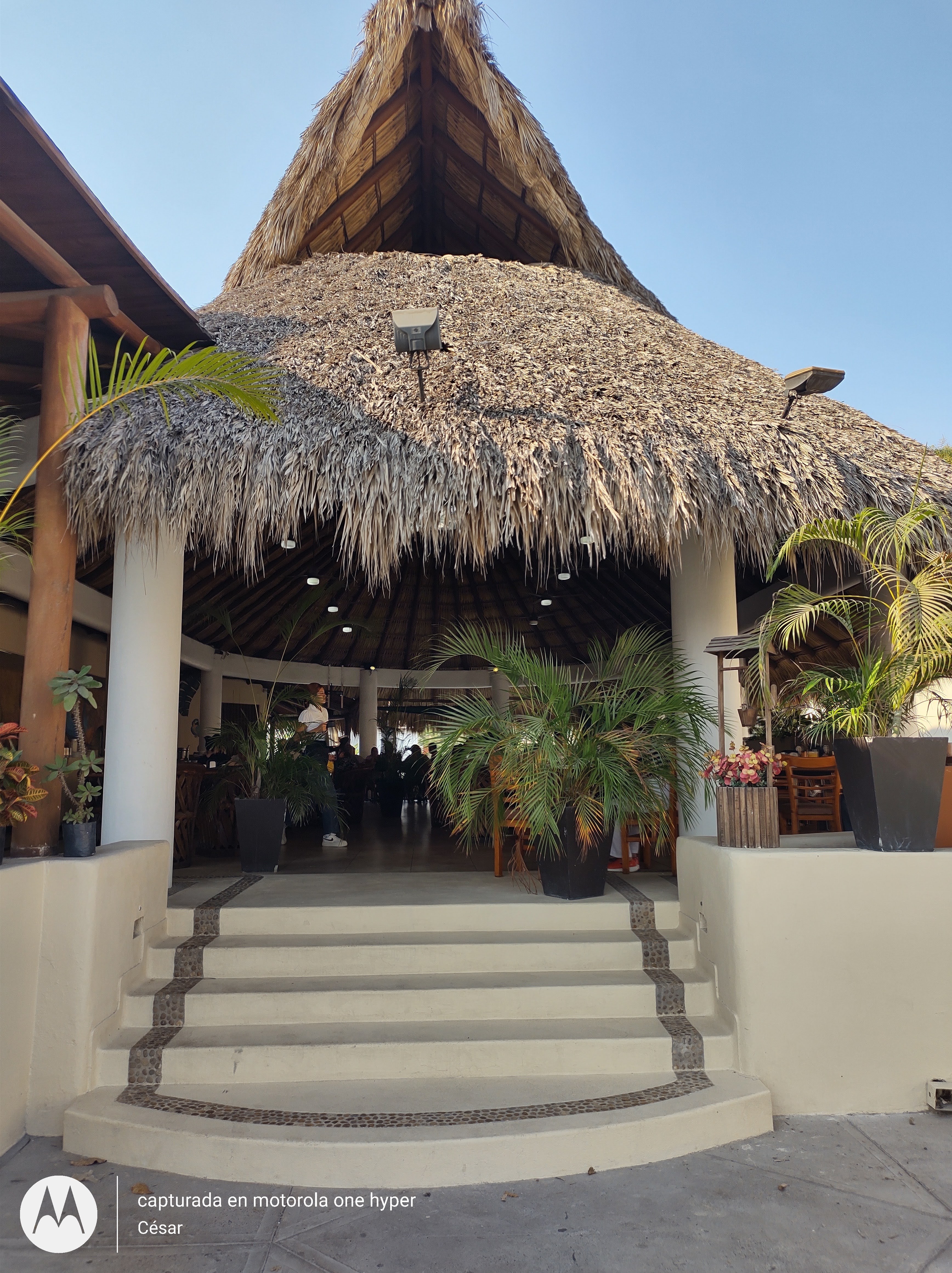 Restaurante El Guero Mariscos Y Cortes Finos image 3