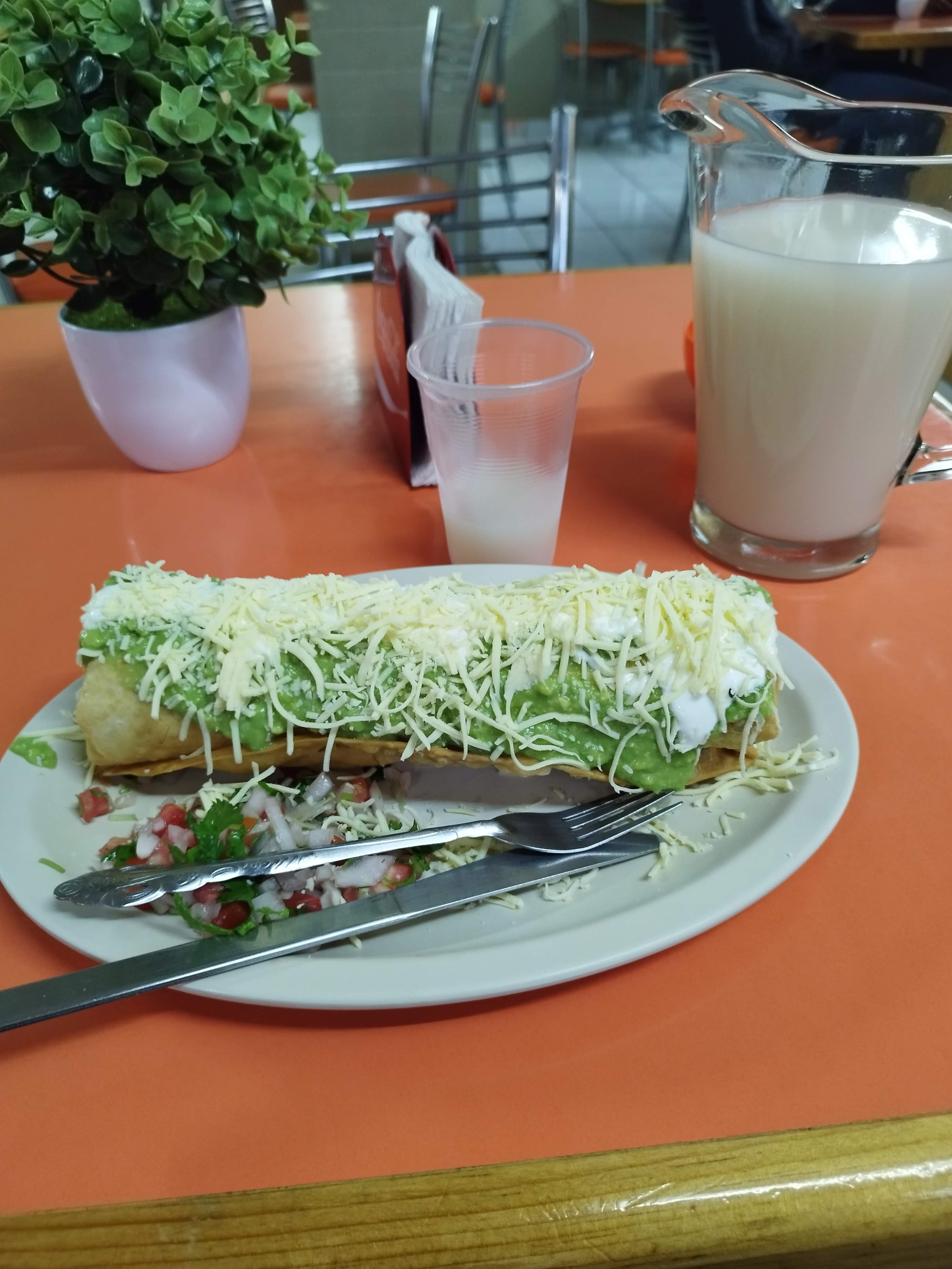 Restaurante Los Favoritos image 2