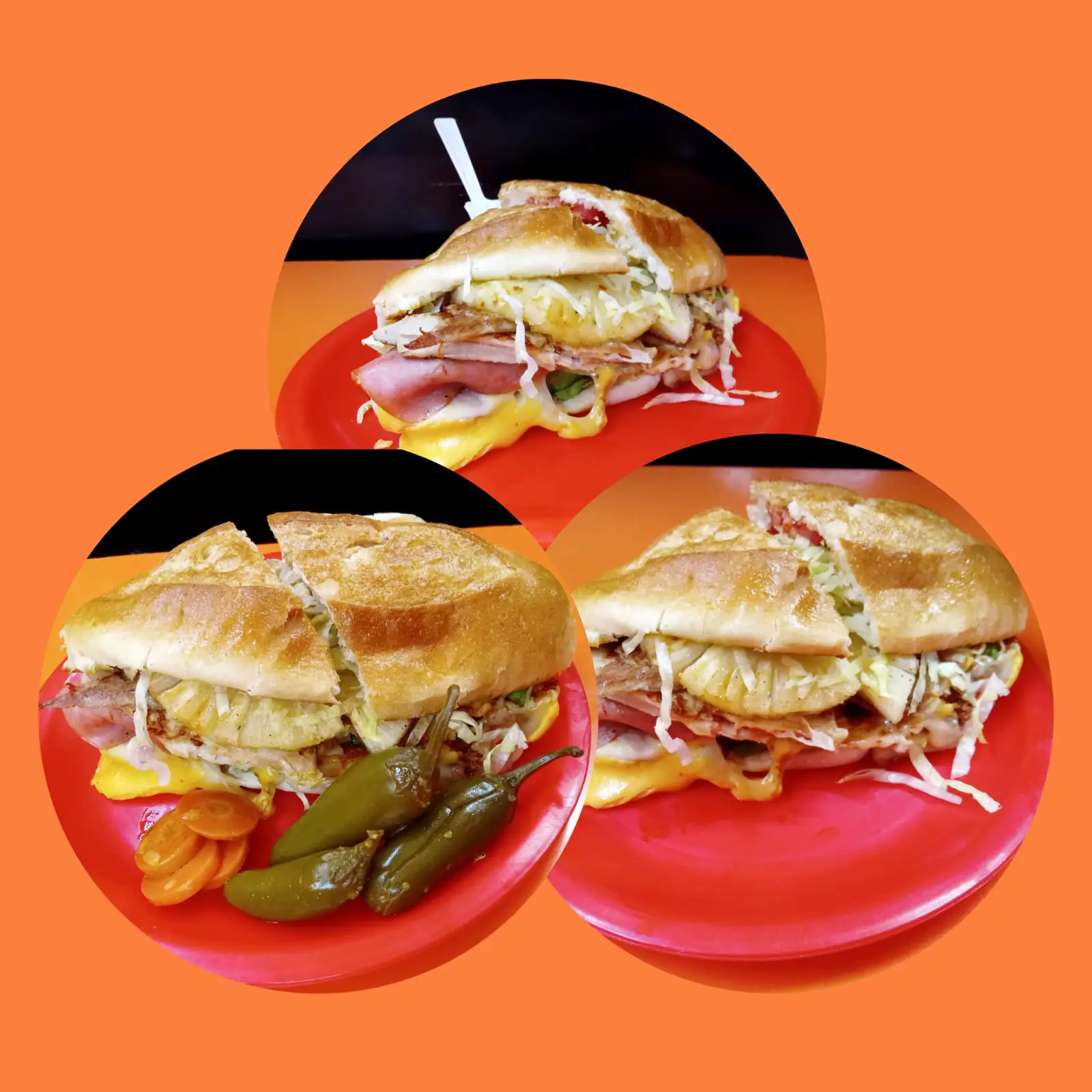 El Pingüino image 2