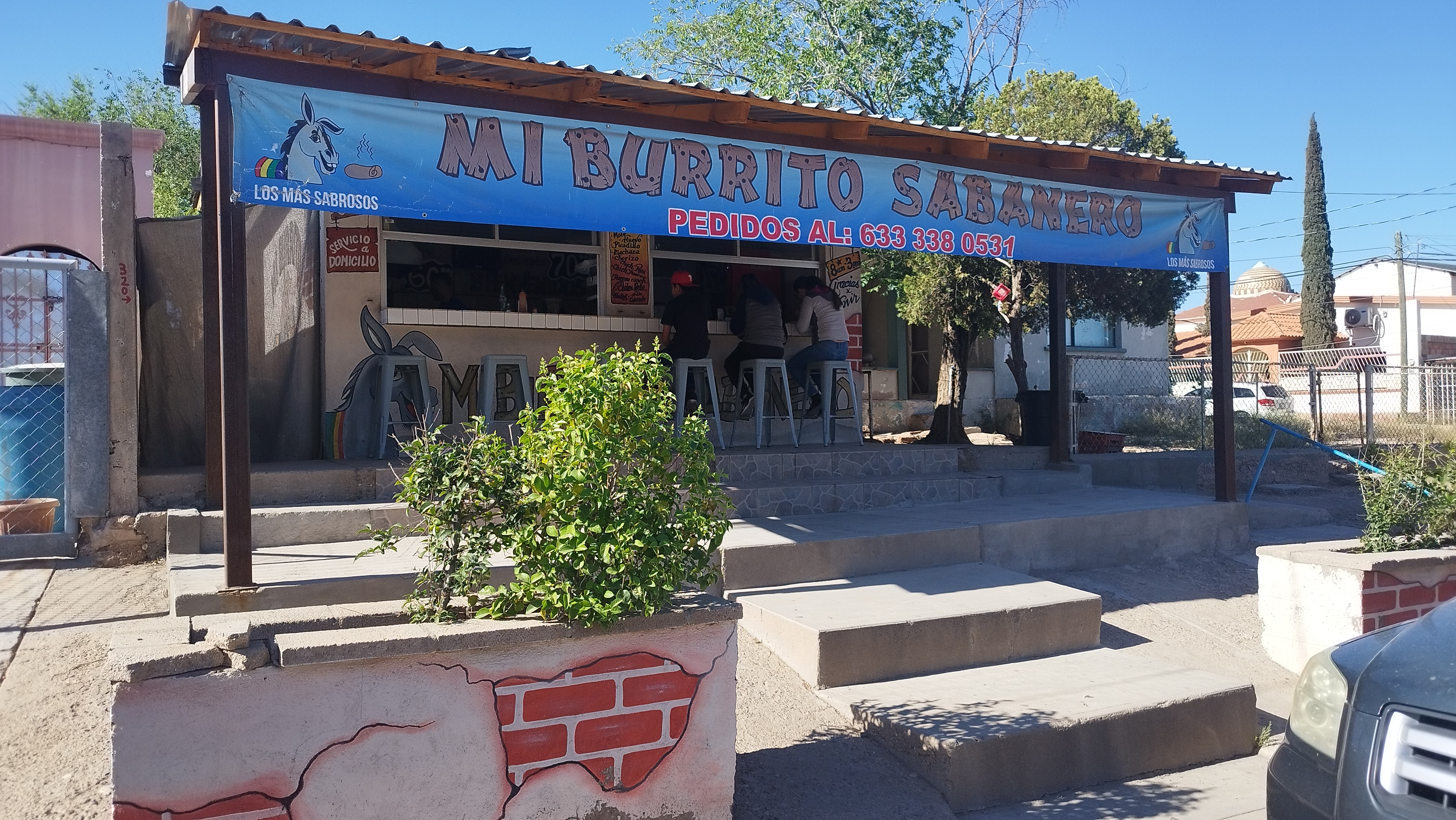 Mi burrito sabanero image 1