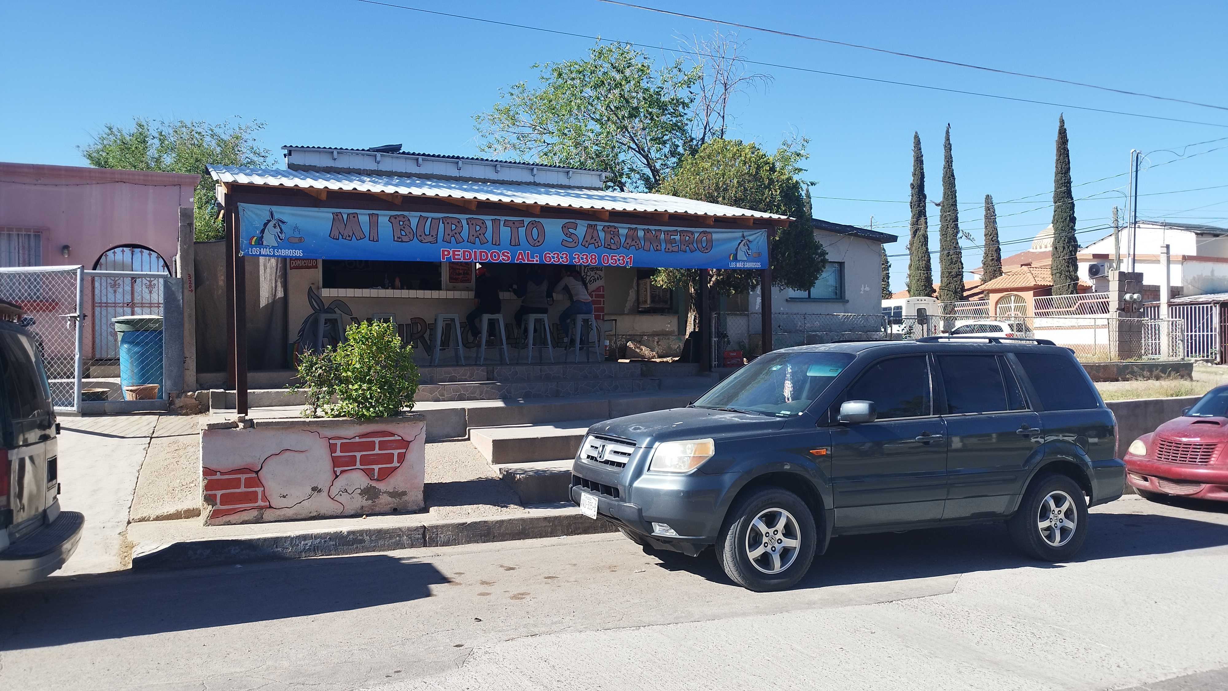 Mi burrito sabanero image 3