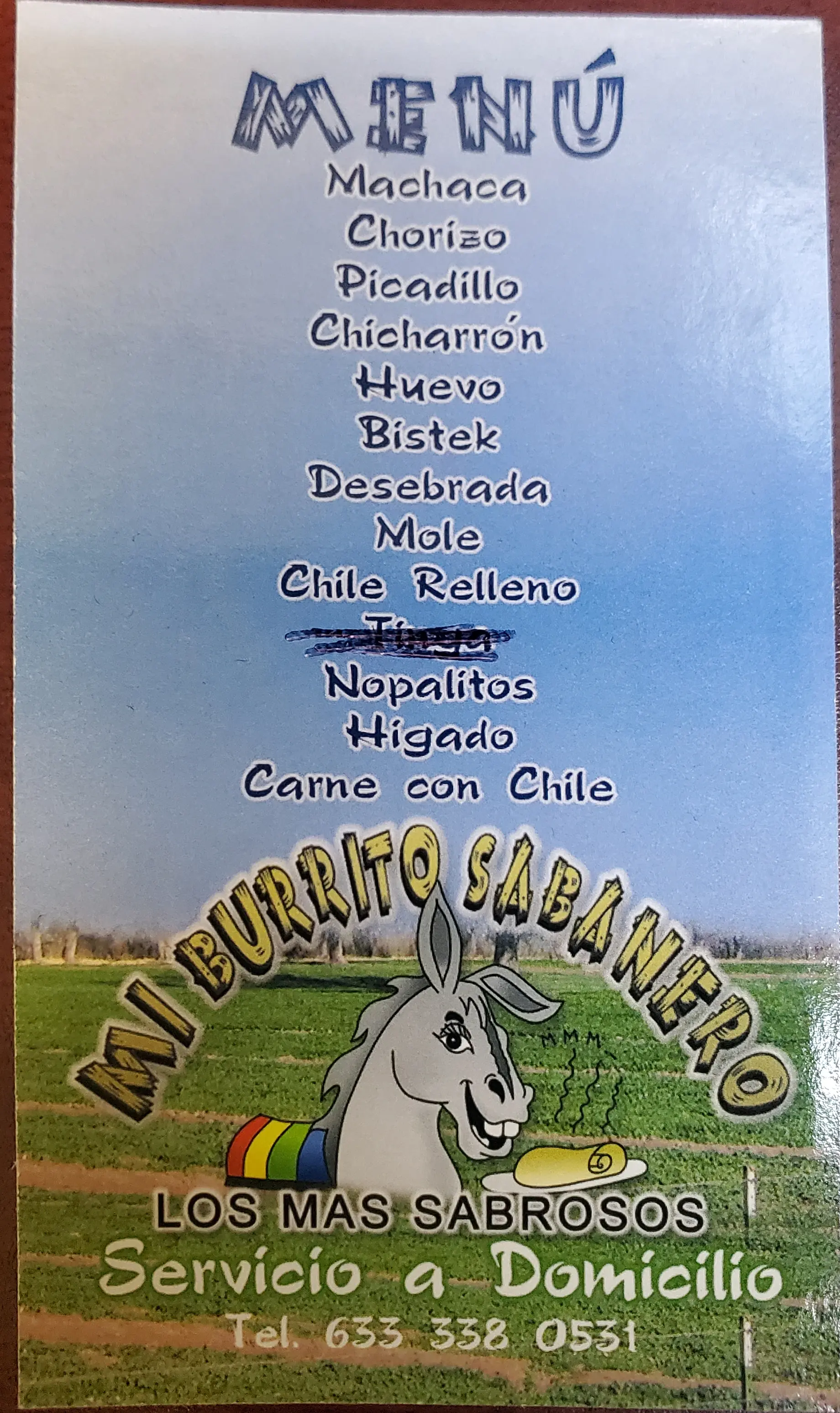 Mi burrito sabanero image 6