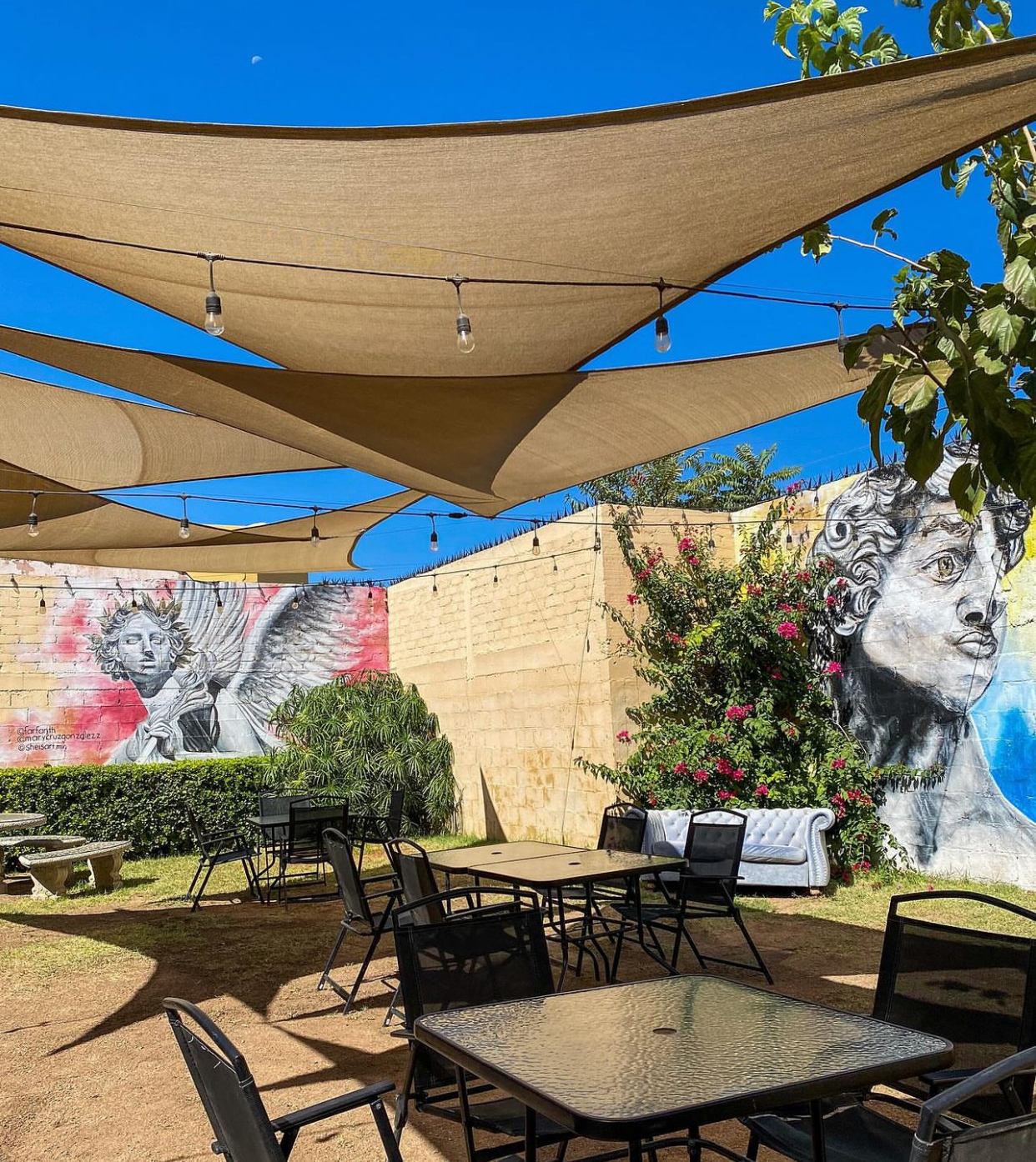 Casa Monarca image 1