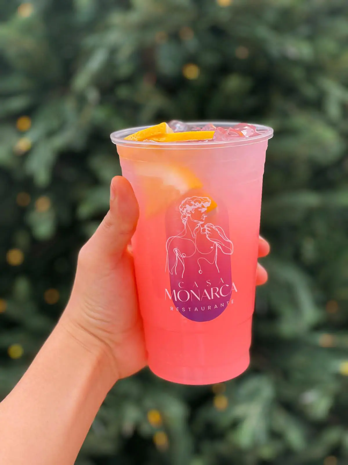 Casa Monarca image 5