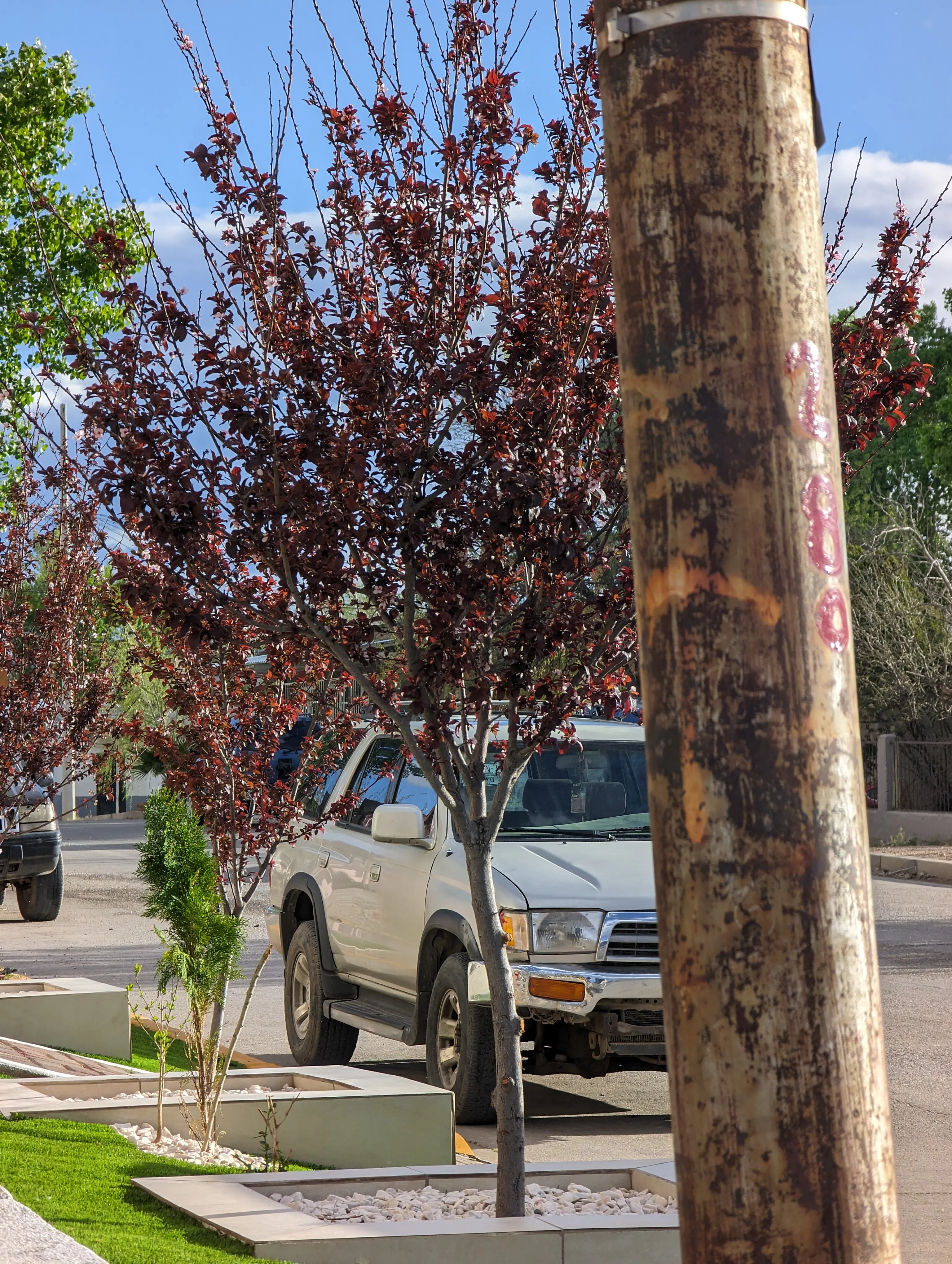 La Rusbaleña Restaurante image 6