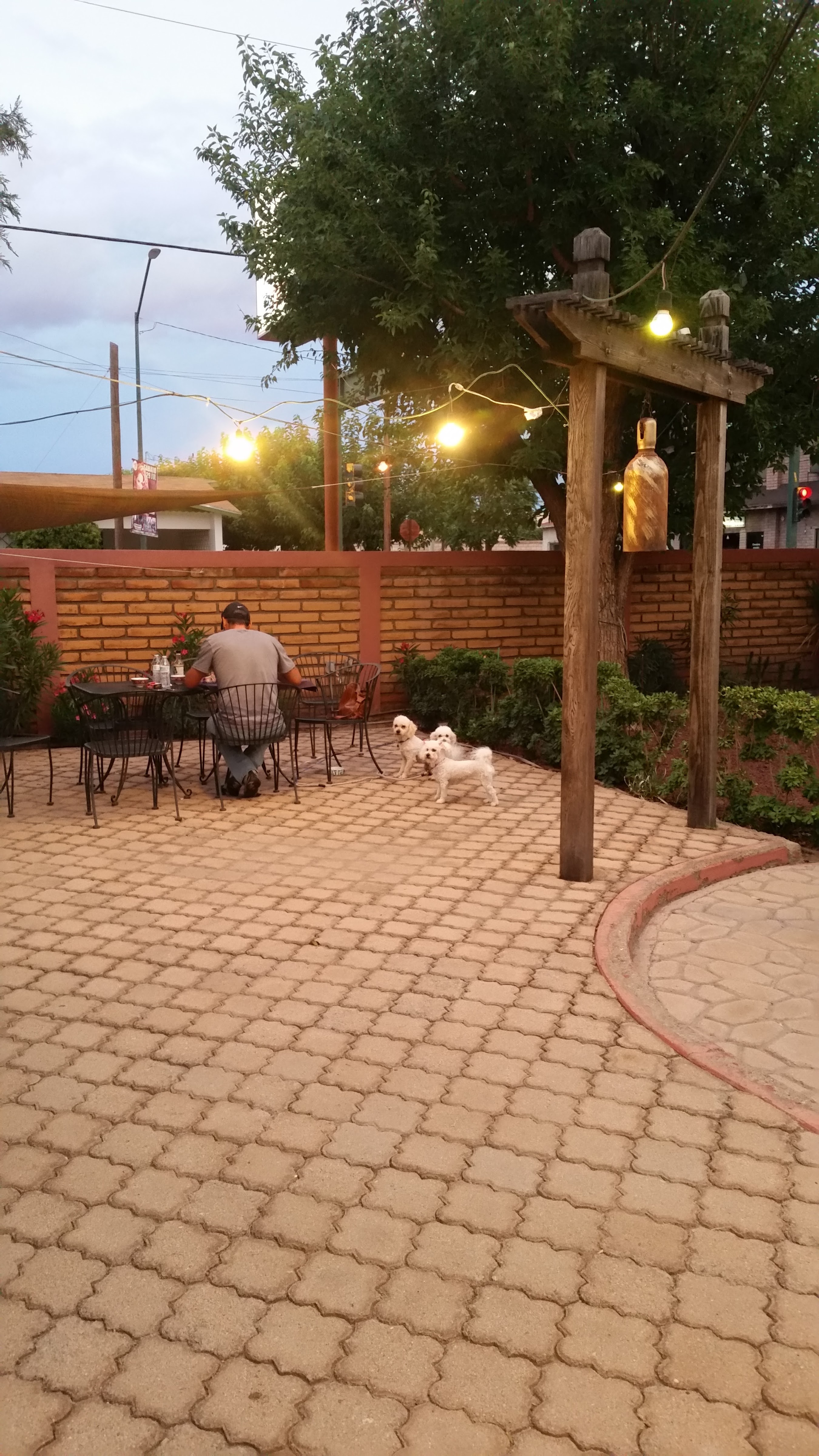 Kabuki Sushi Grill image 6