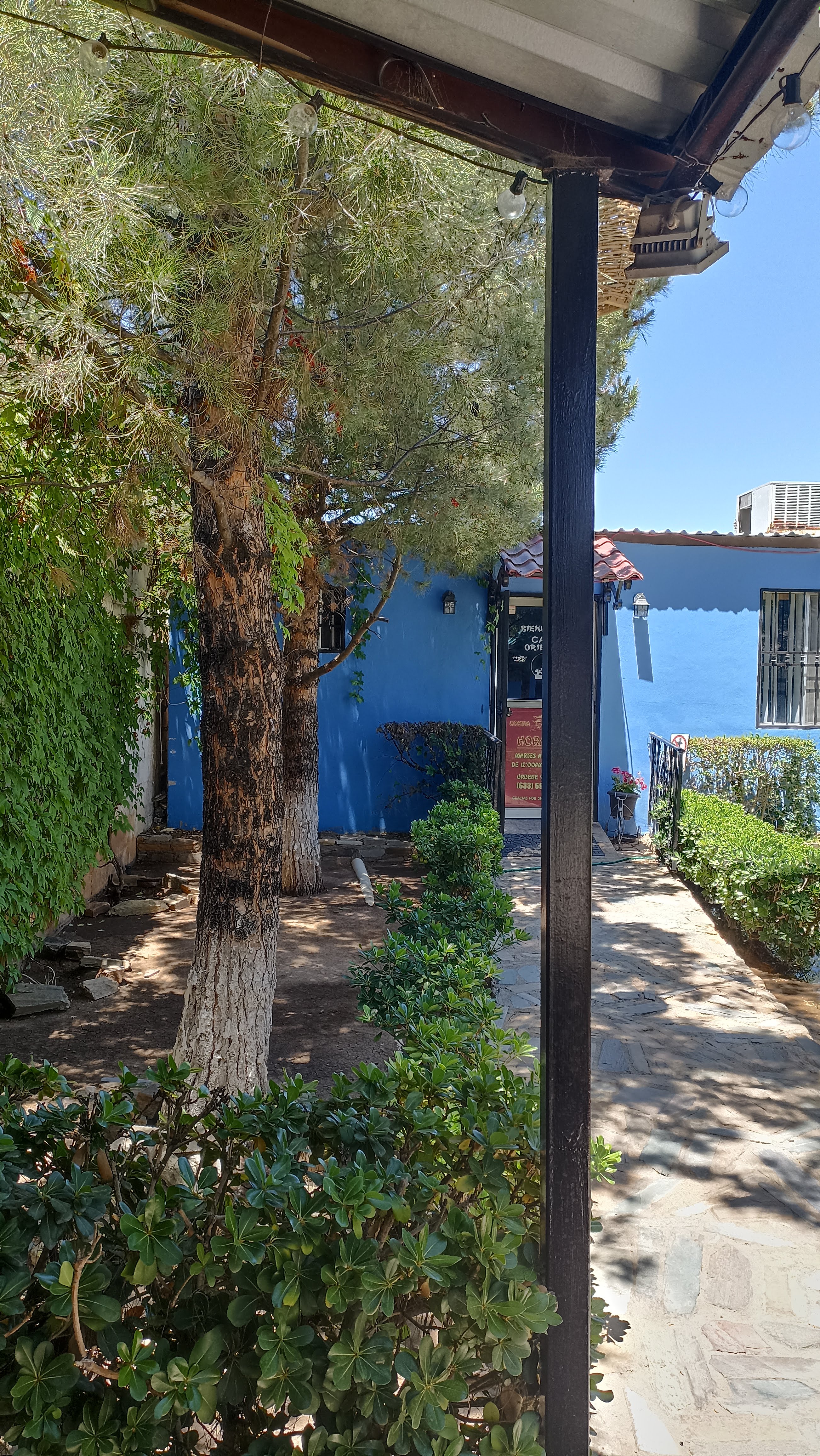 Cafe Oriental image 8