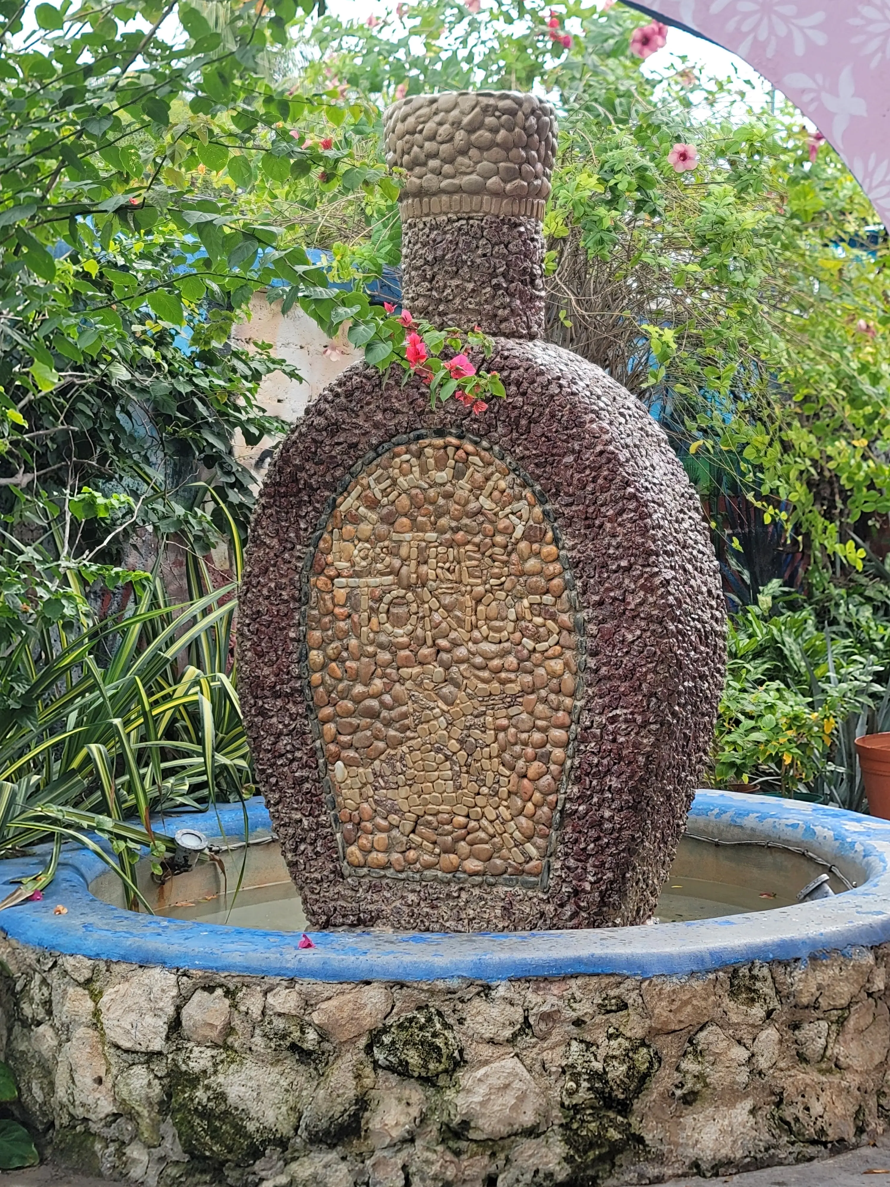 Casa Mission image 8