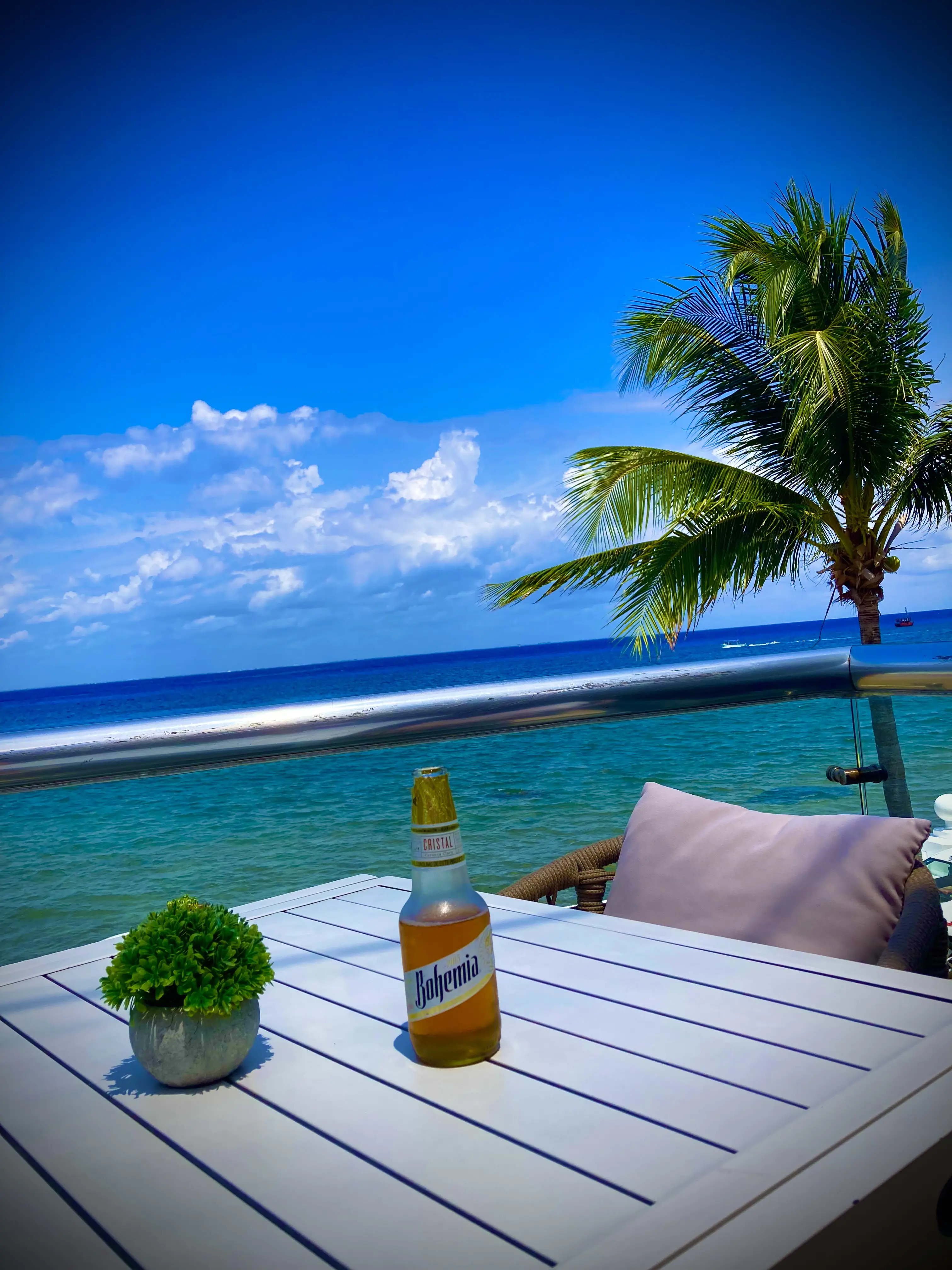 Fuego Restaurant Cozumel image 9