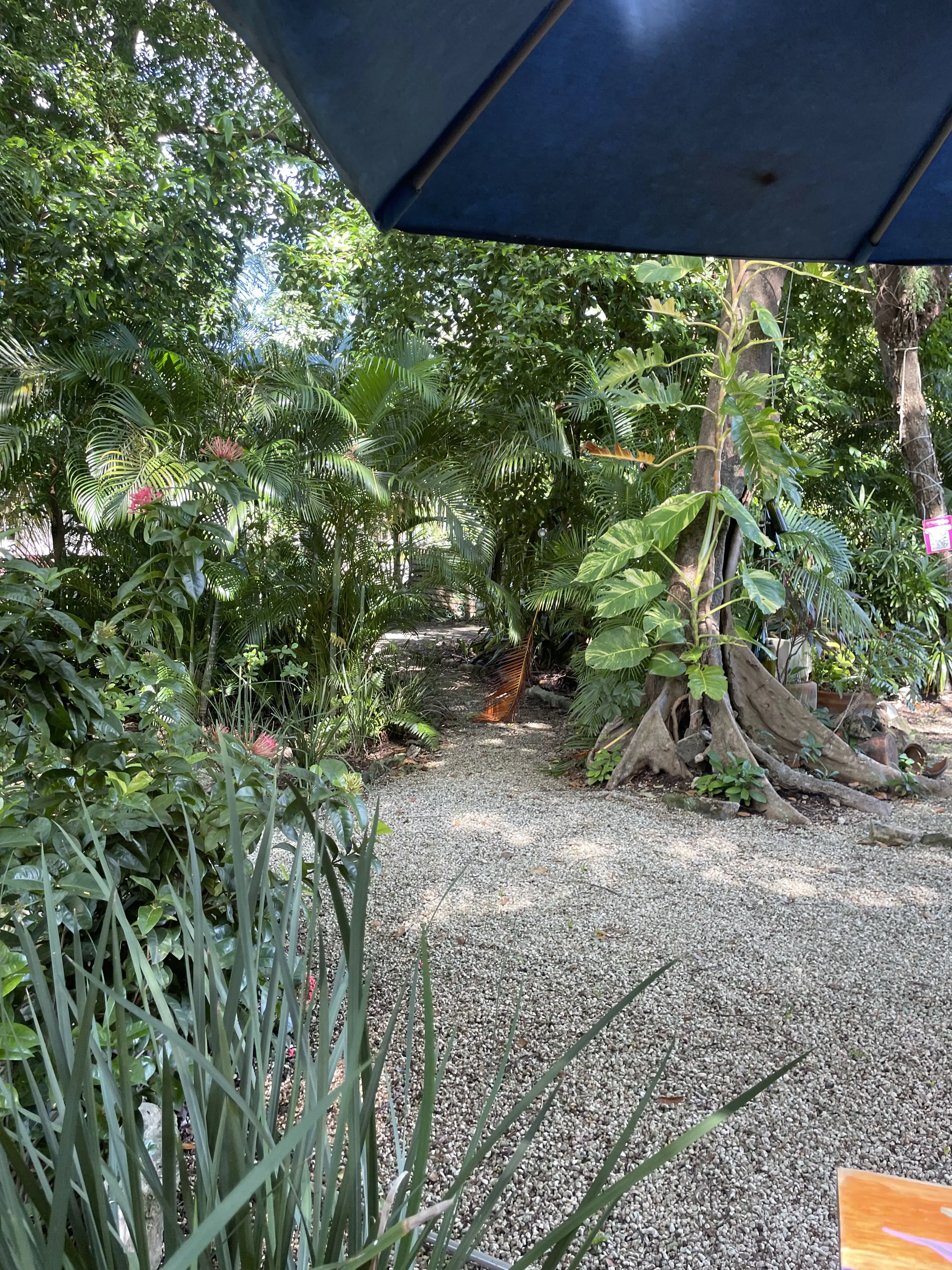 El Rincón de Addy image 6