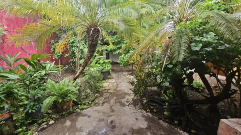 La Choza Cozumel image 7