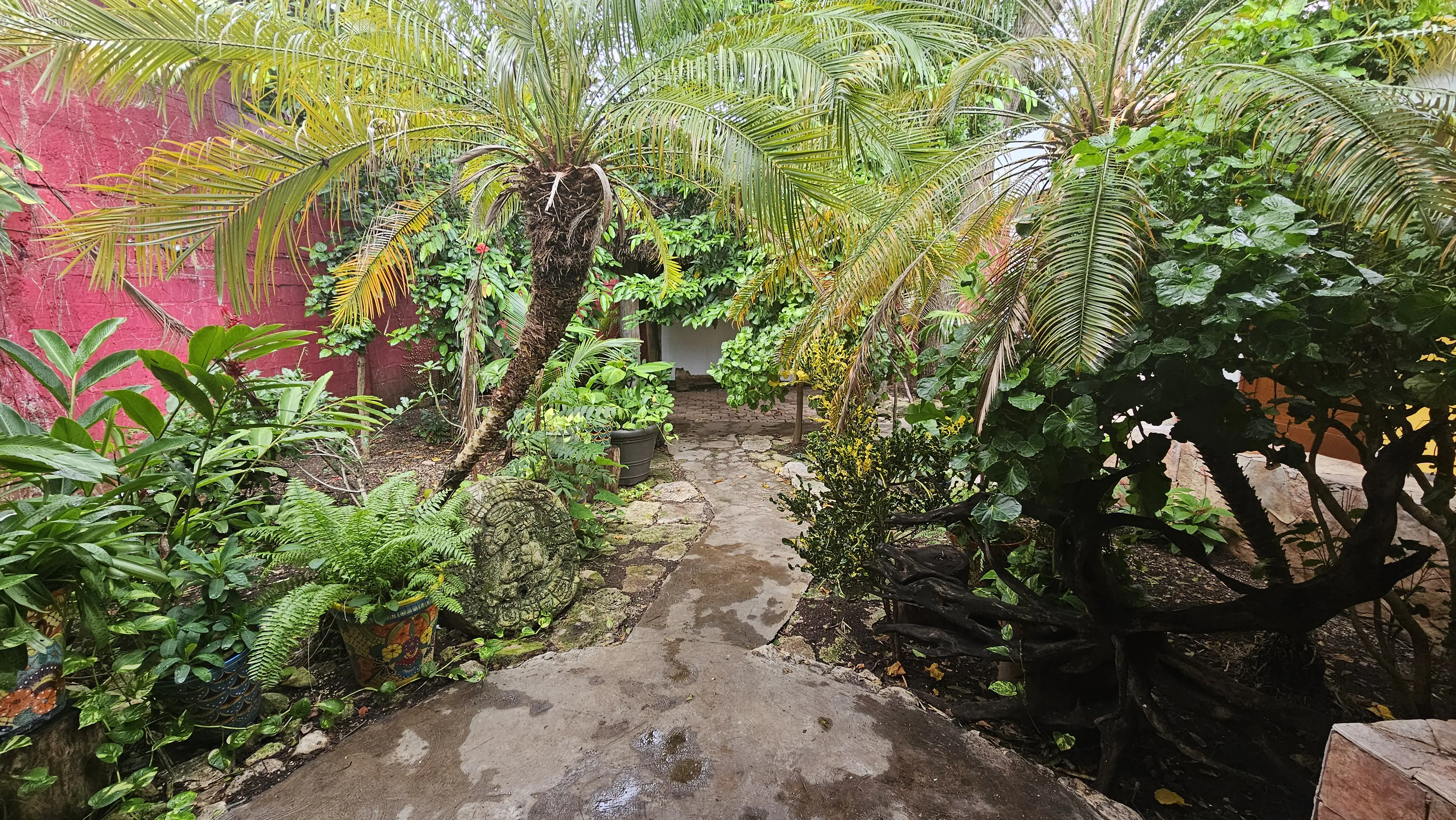 La Choza Cozumel image 7