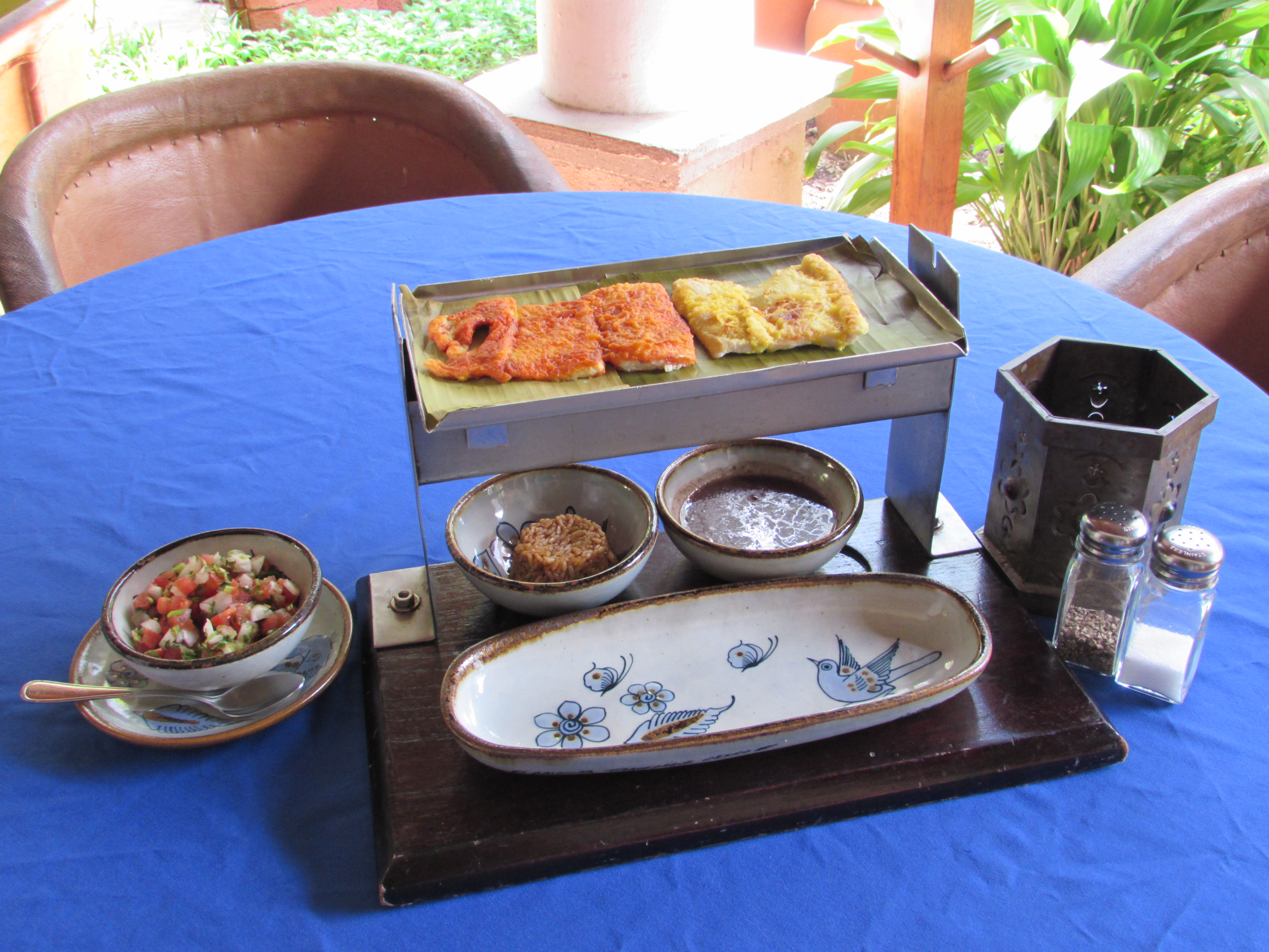 Pancho's Backyard image 3