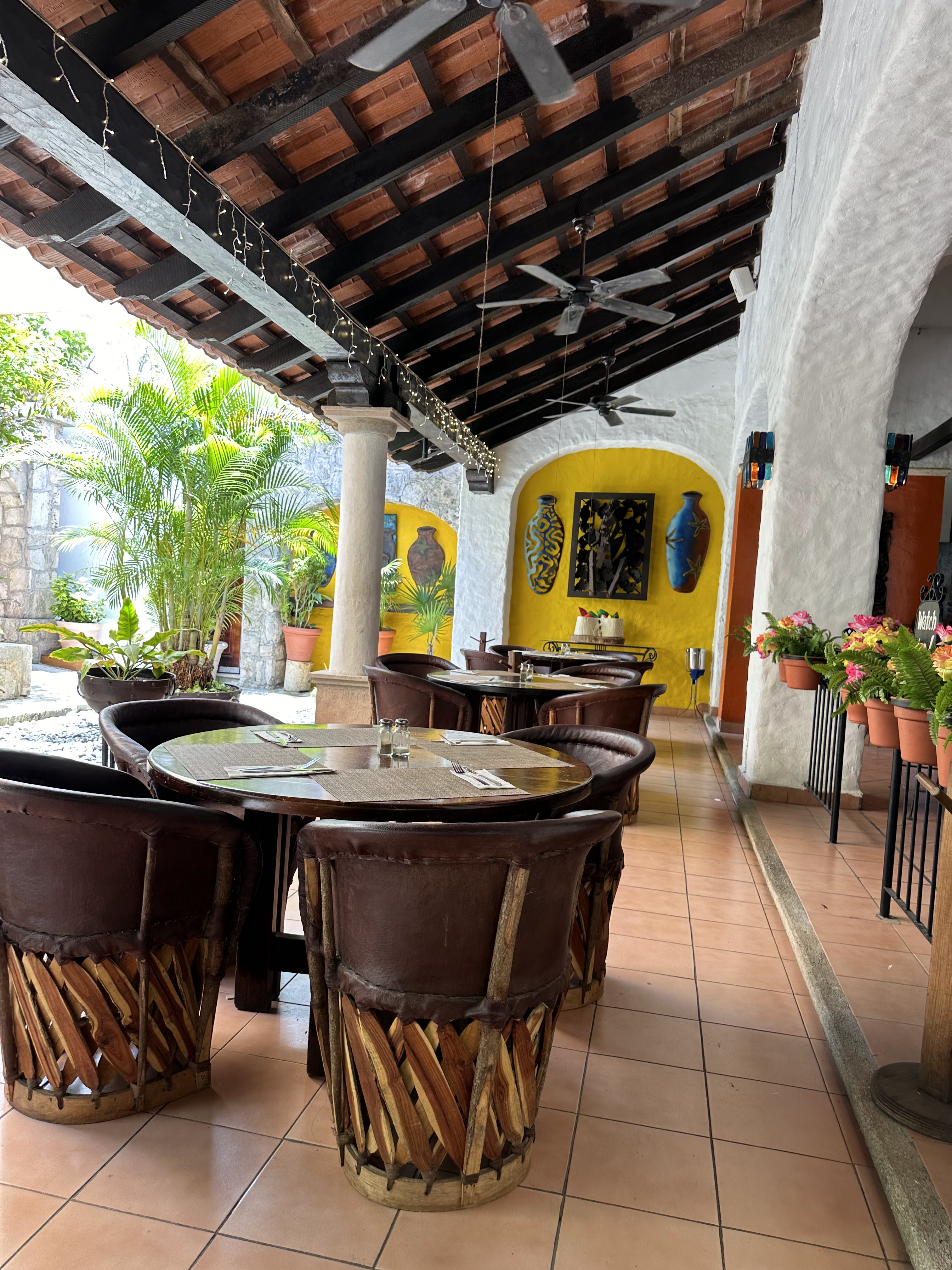 Pancho's Backyard image 5