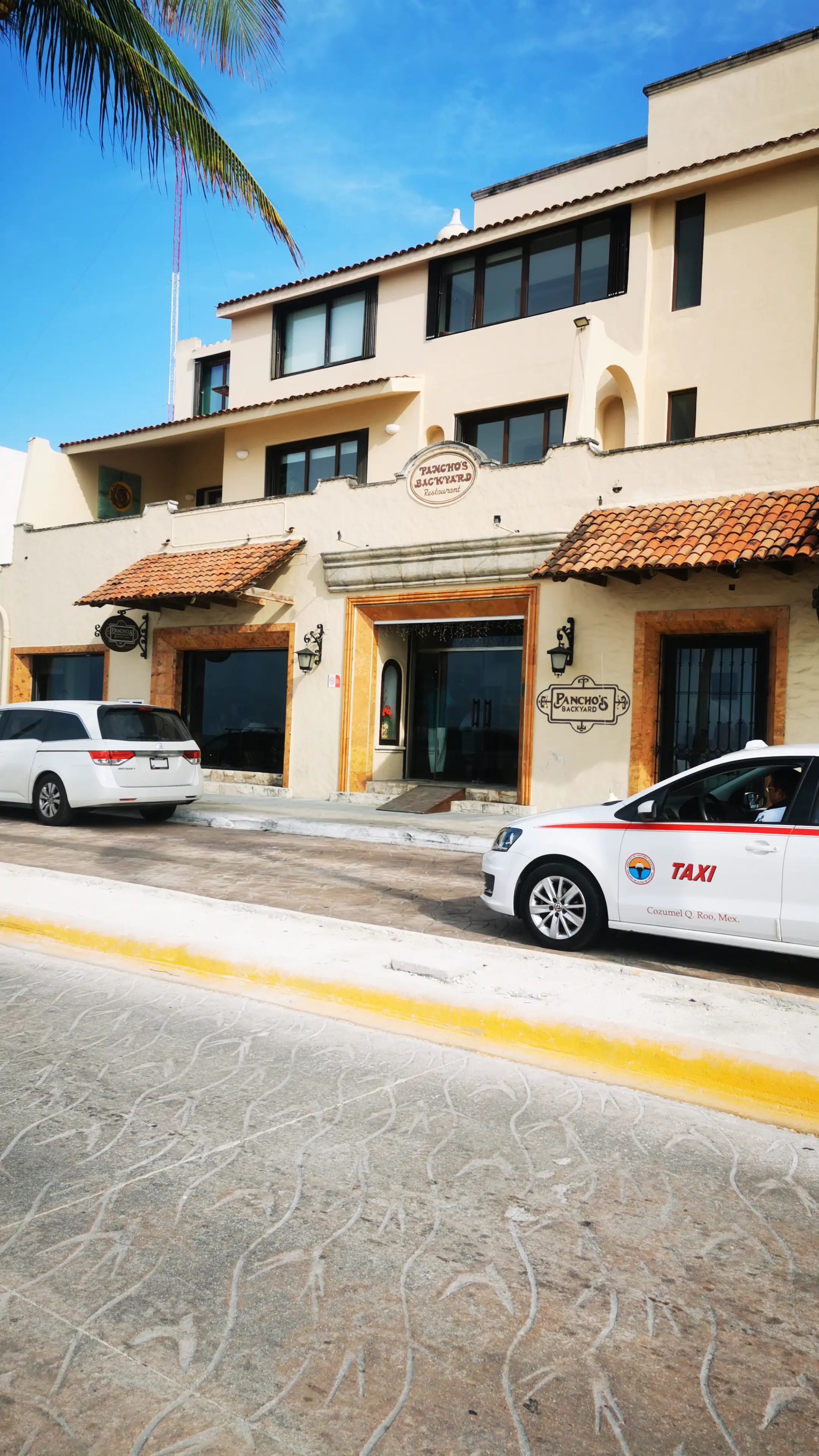 Pancho's Backyard image 6