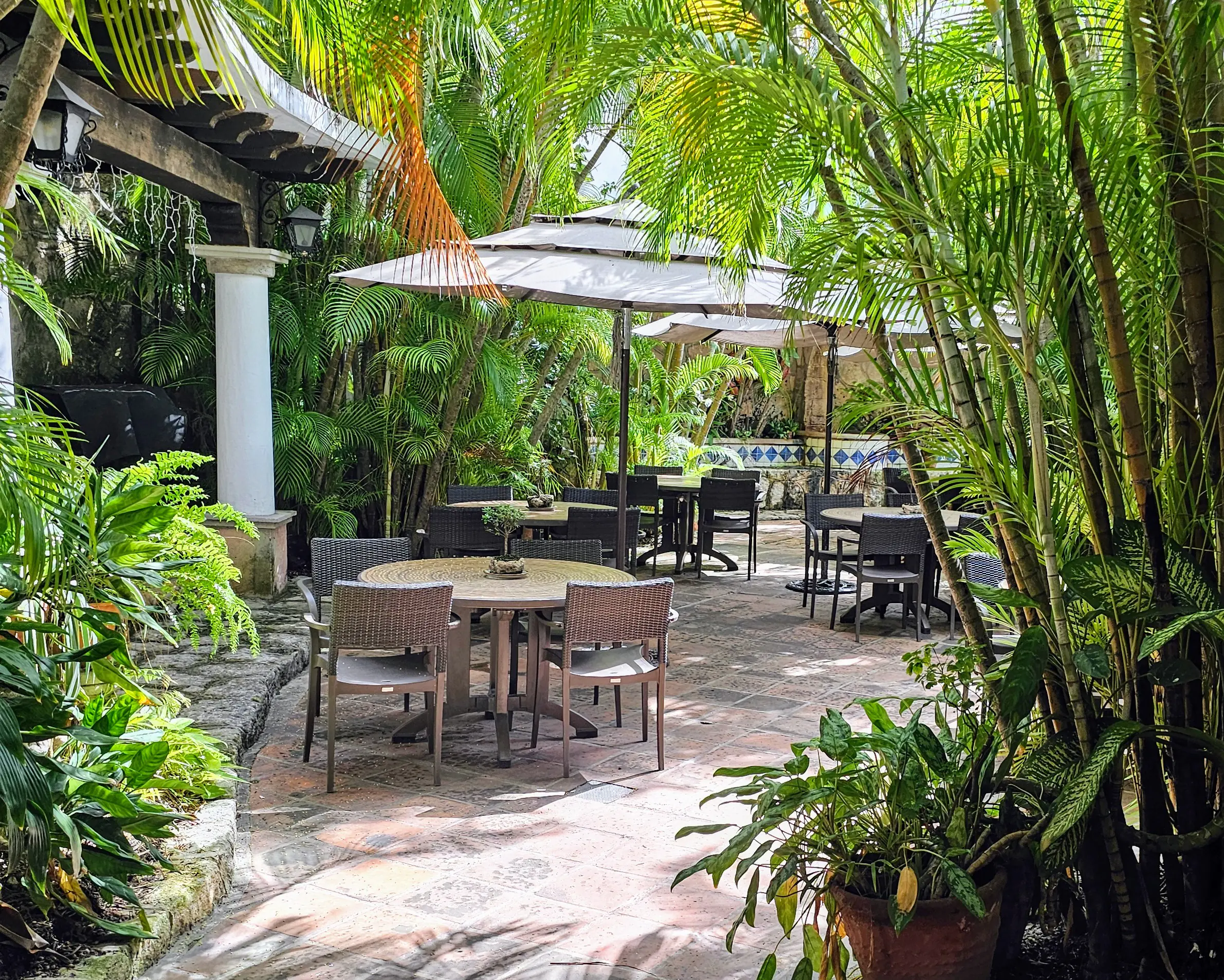 Pancho's Backyard image 8