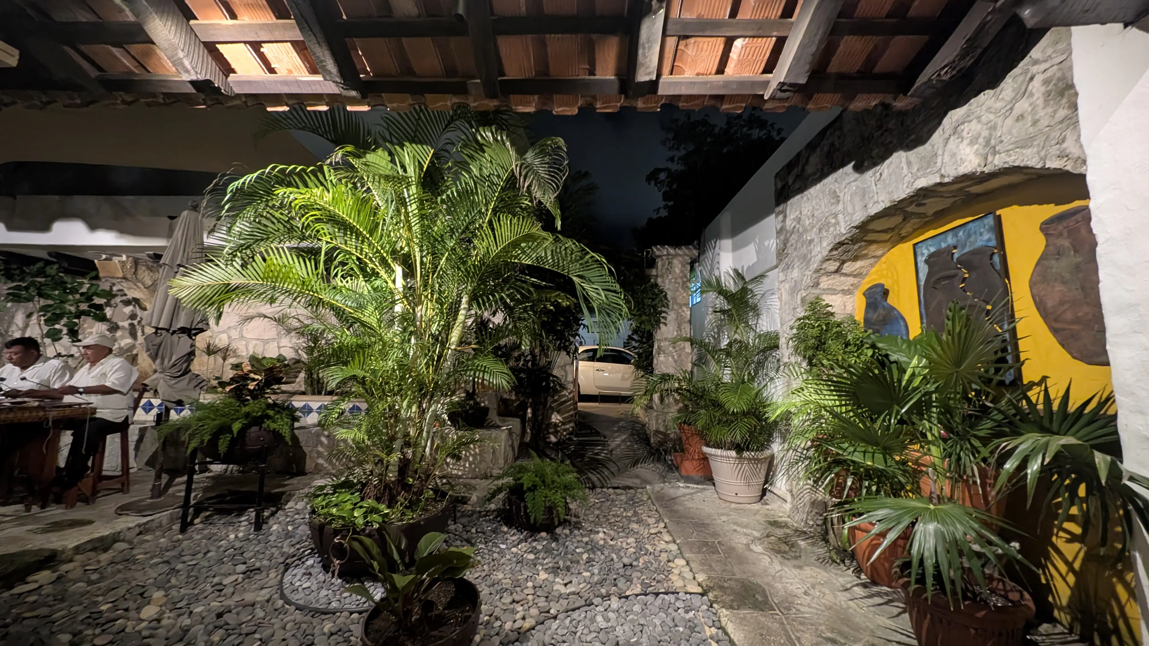 Pancho's Backyard image 9