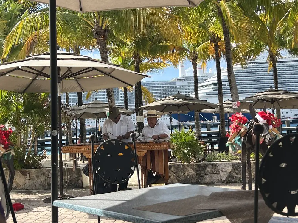 Pancho's Backyard image 10