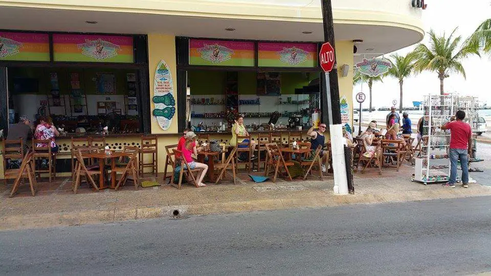 Thirsty Cougar image 1