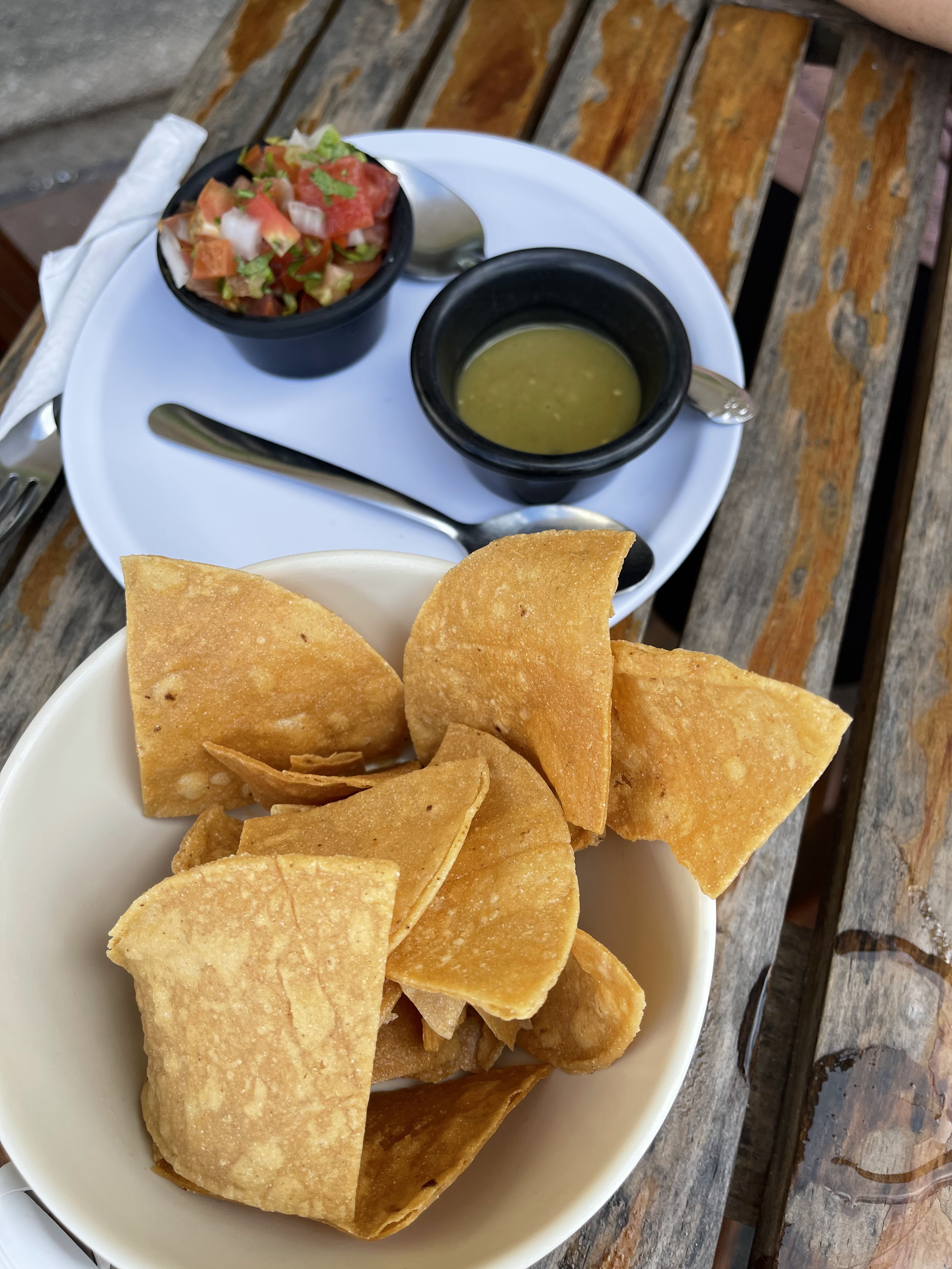 Thirsty Cougar image 3