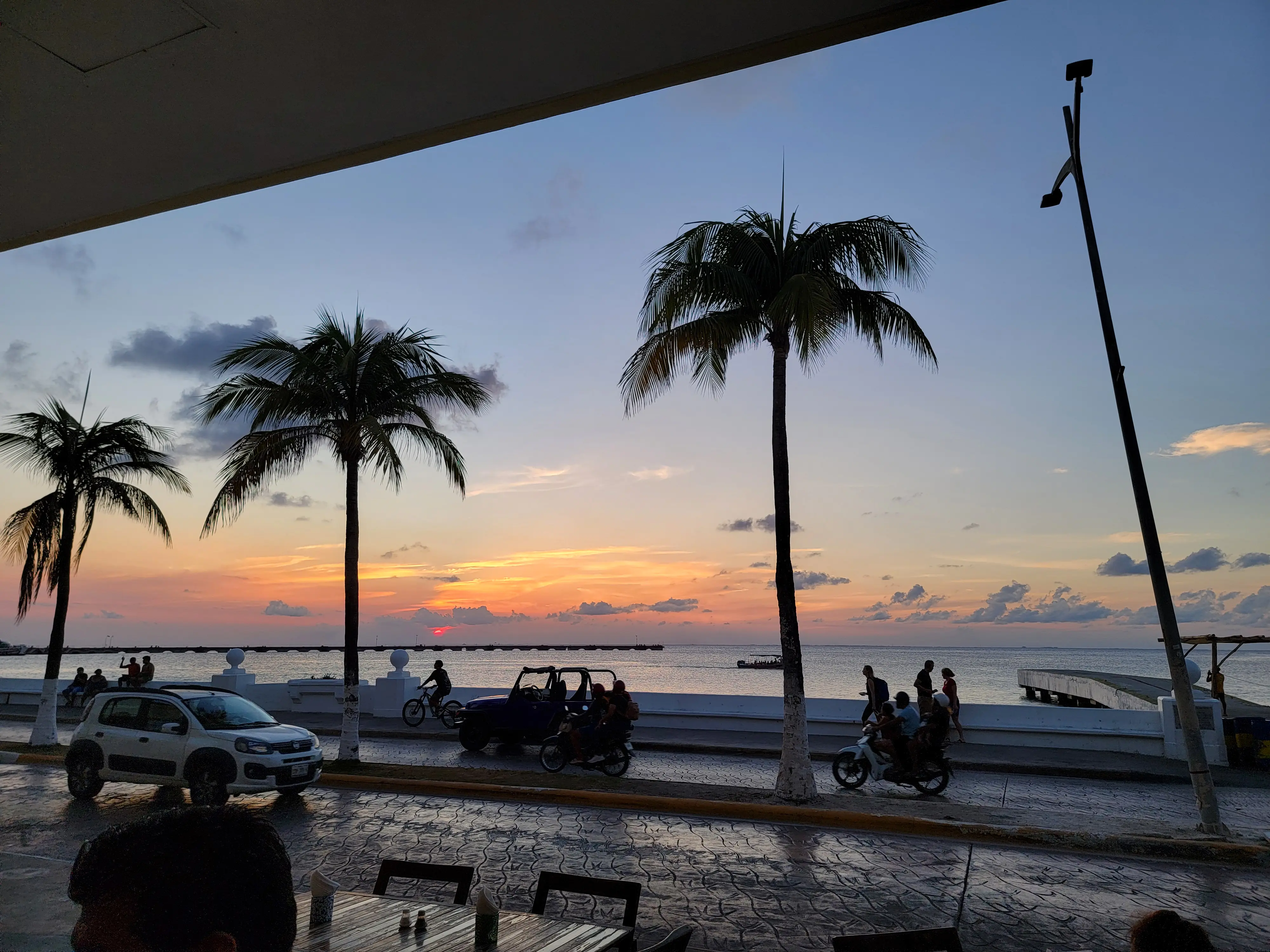 Thirsty Cougar image 5