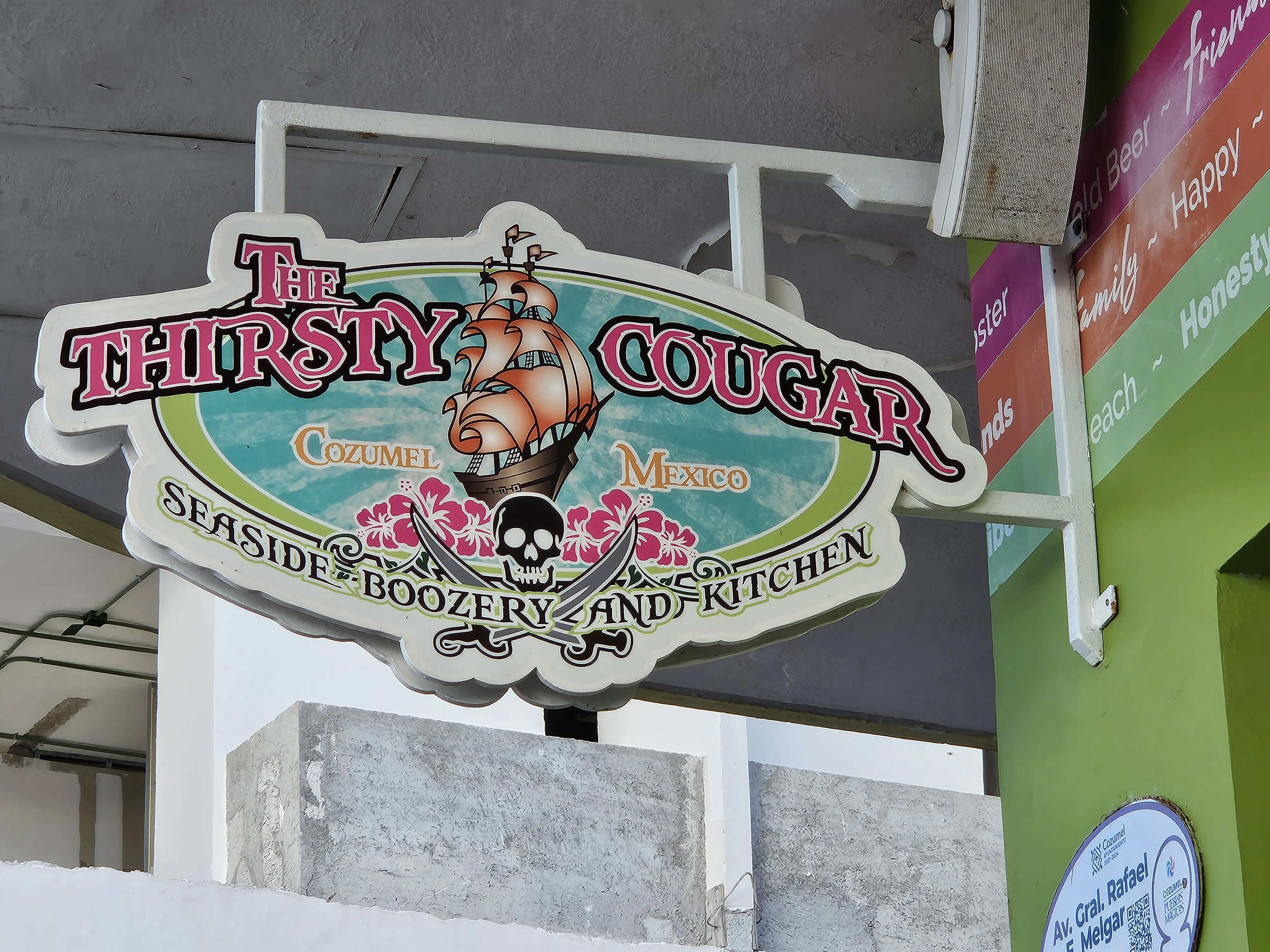 Thirsty Cougar image 8