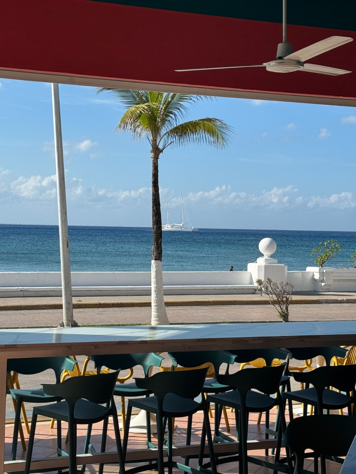 Señor and the Queen image 3