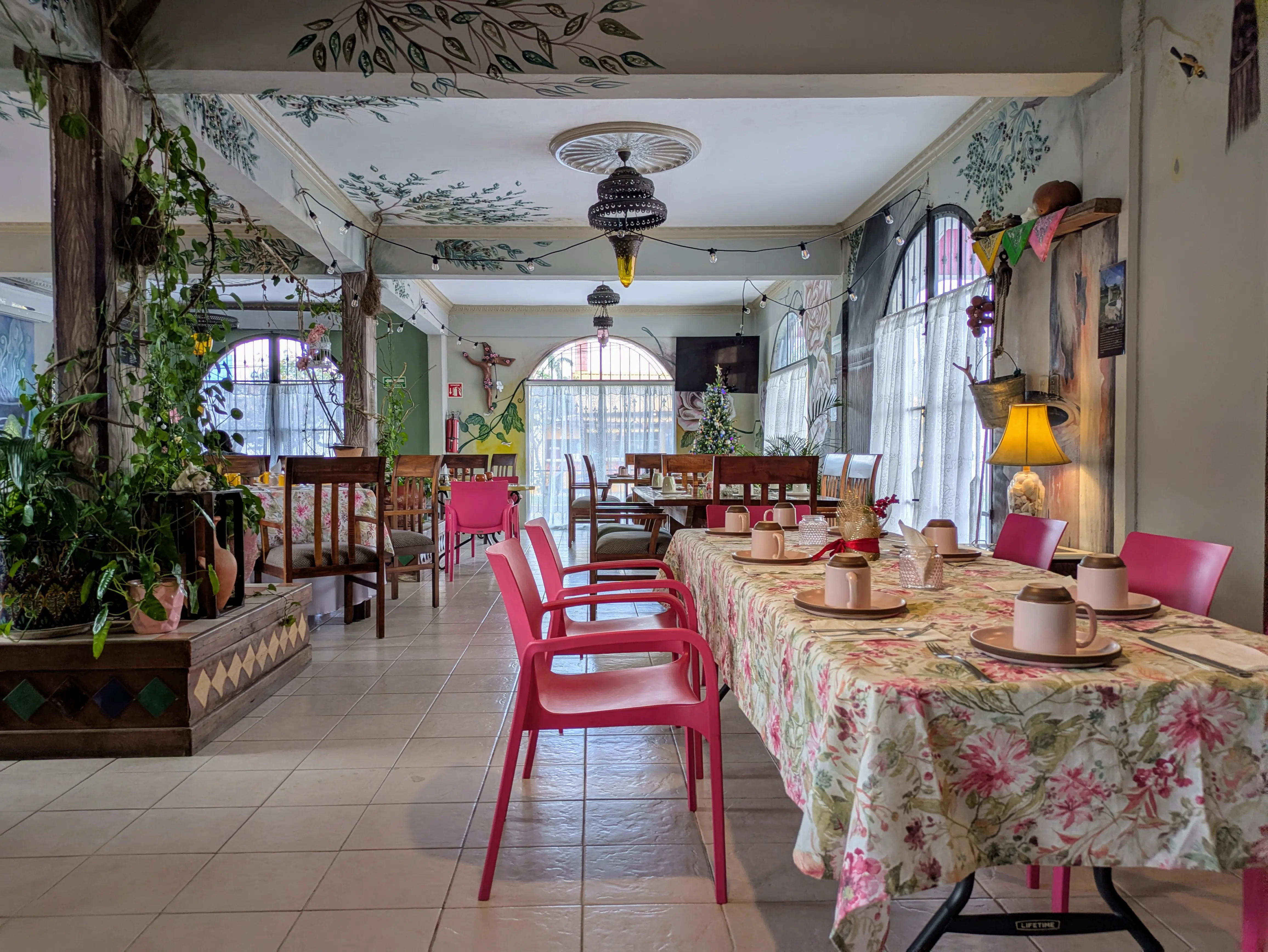 Restaurante El Cedral image 2