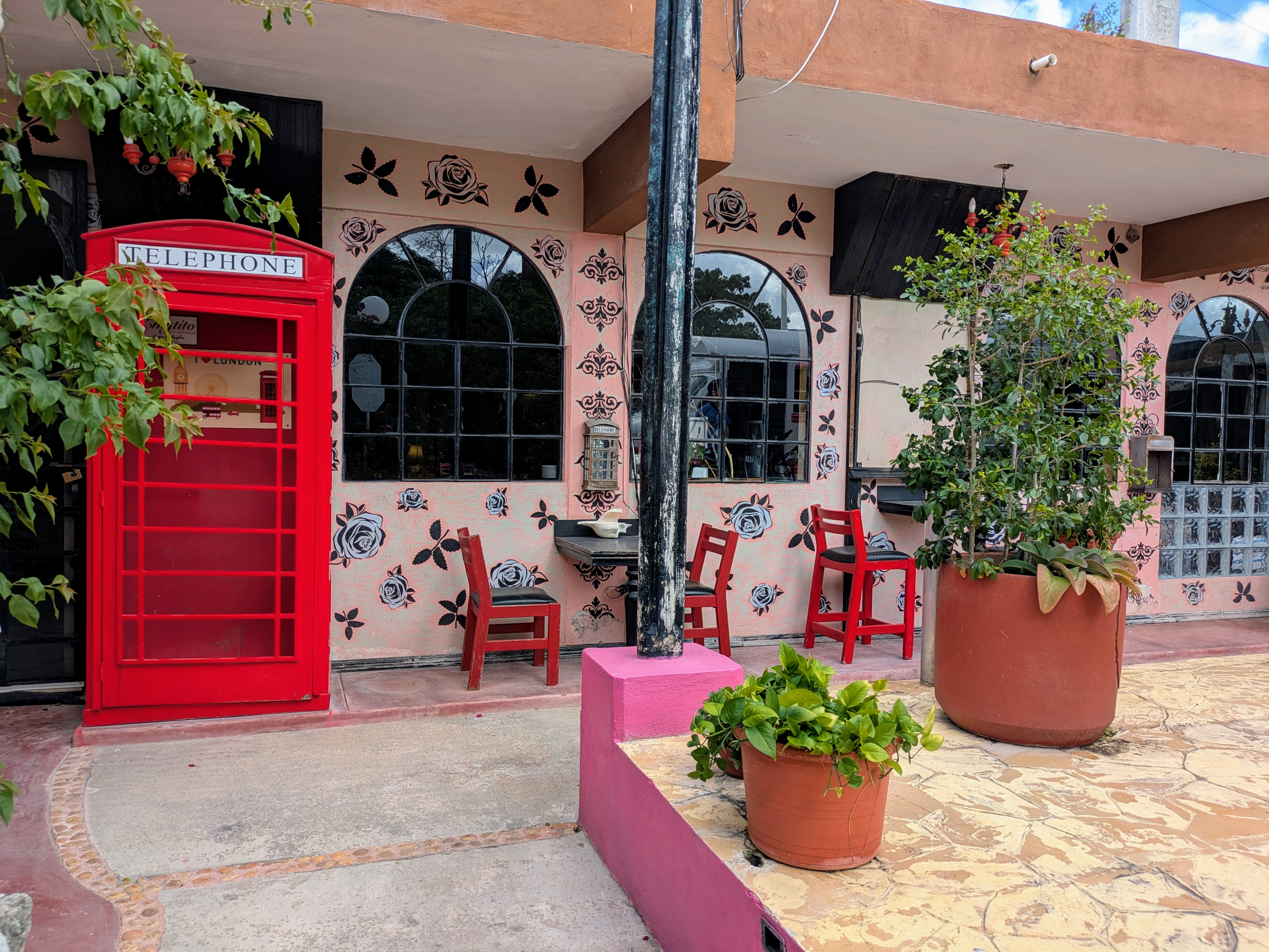 Restaurante El Cedral image 8