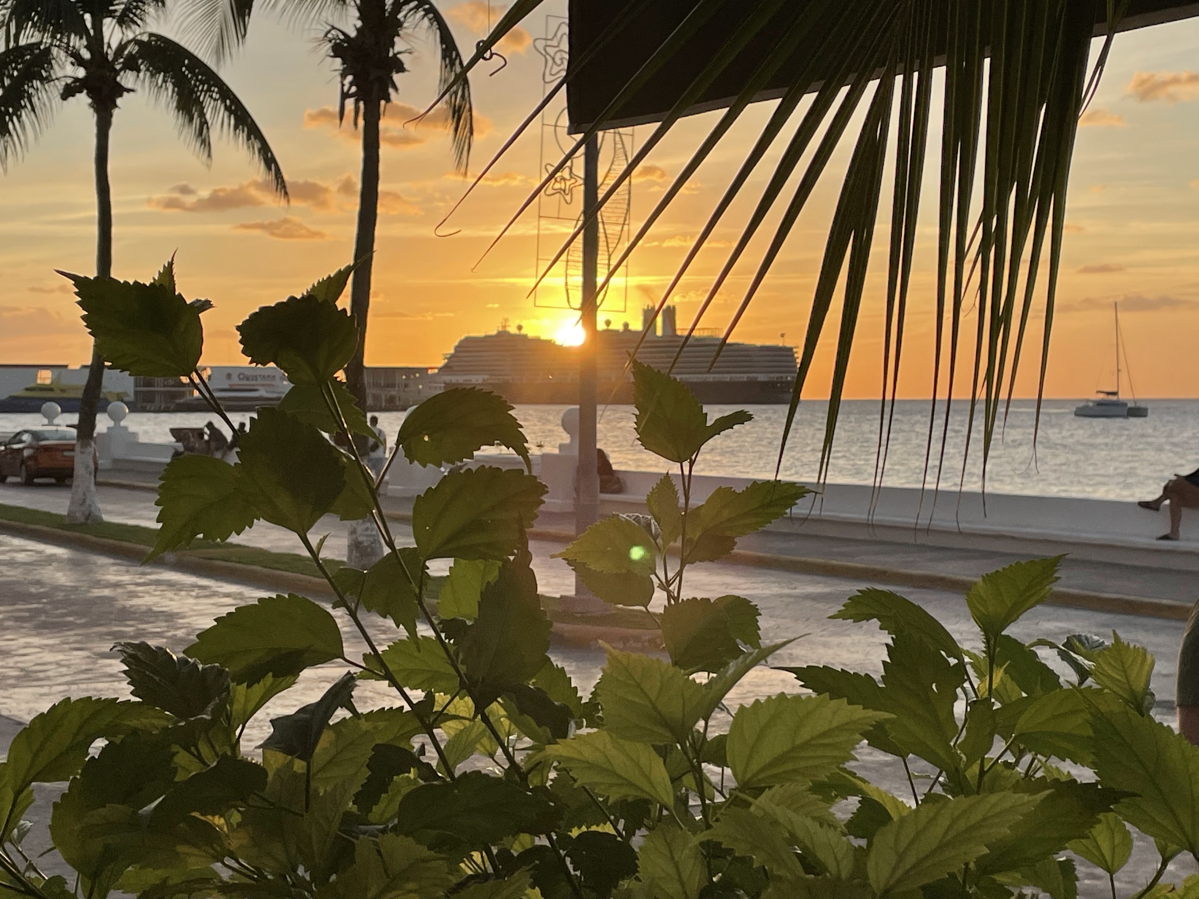 El Palomar Cozumel image 7