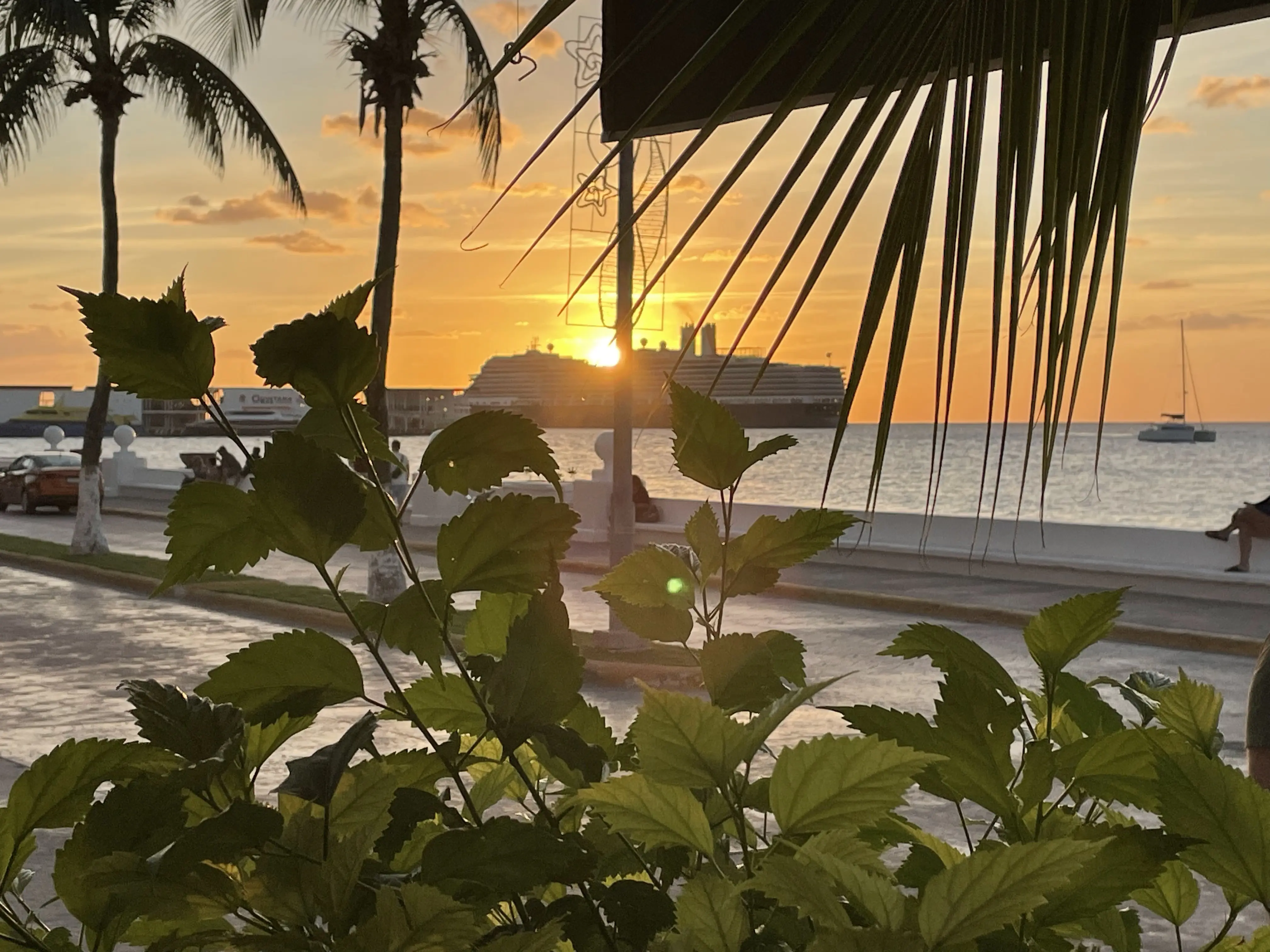 El Palomar Cozumel image 7