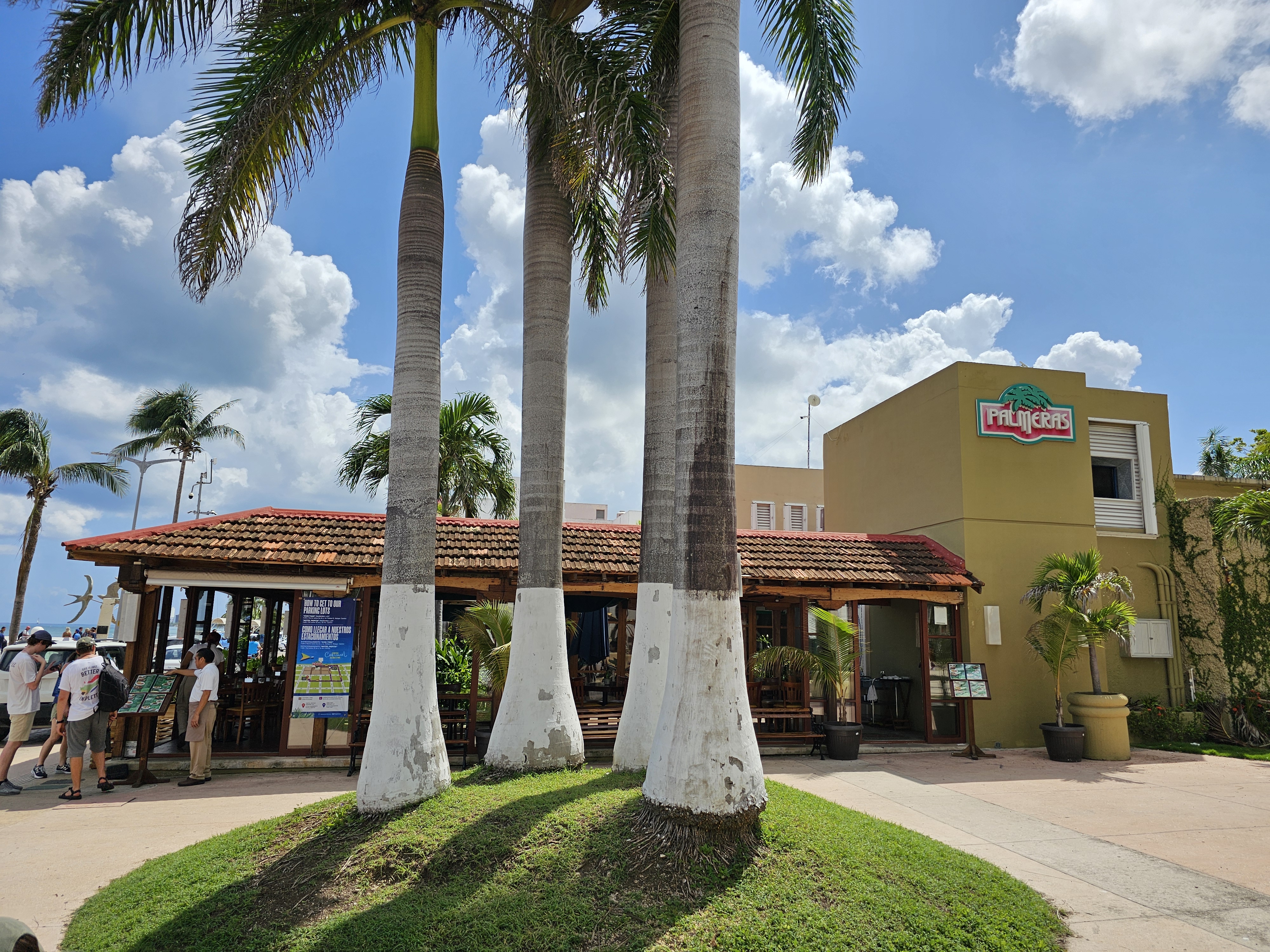 Restaurante Palmeras Cozumel image 4