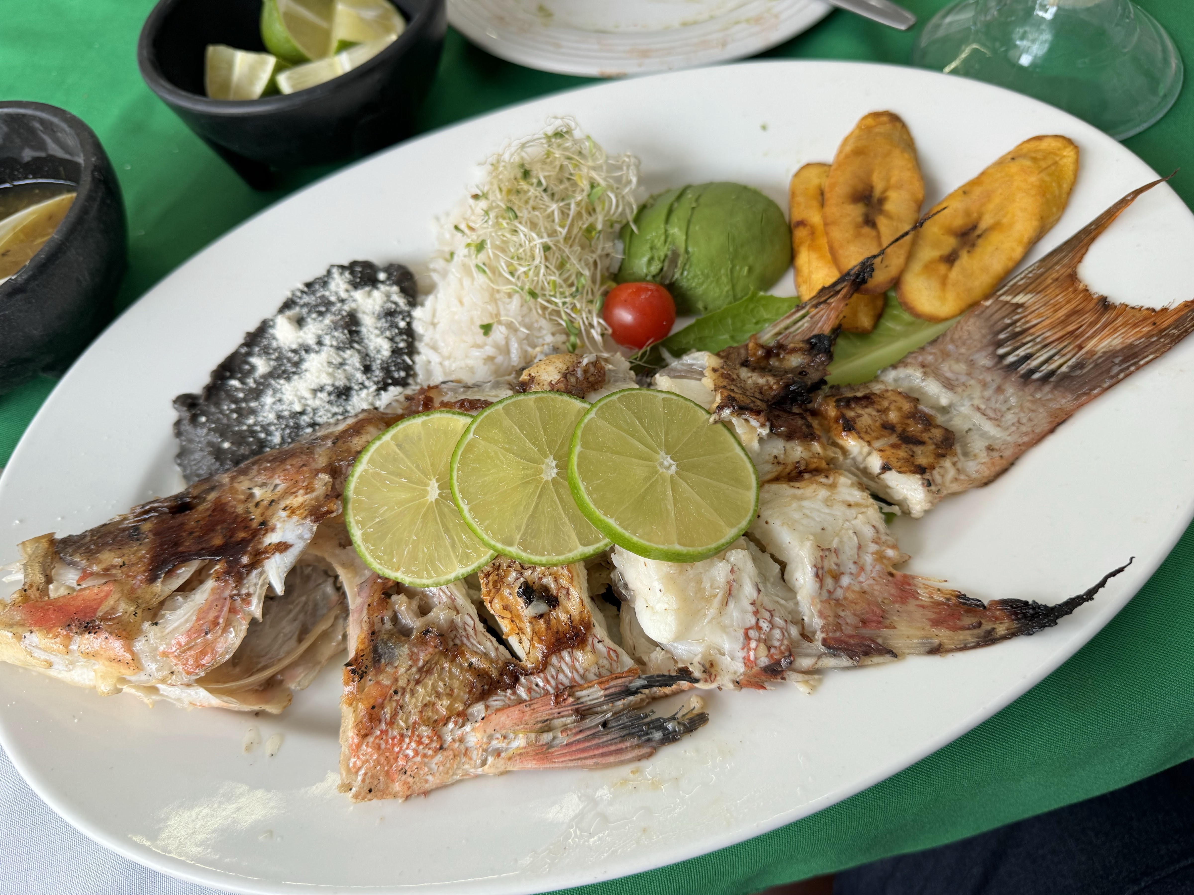 EL ABUELO GERARDO image 3