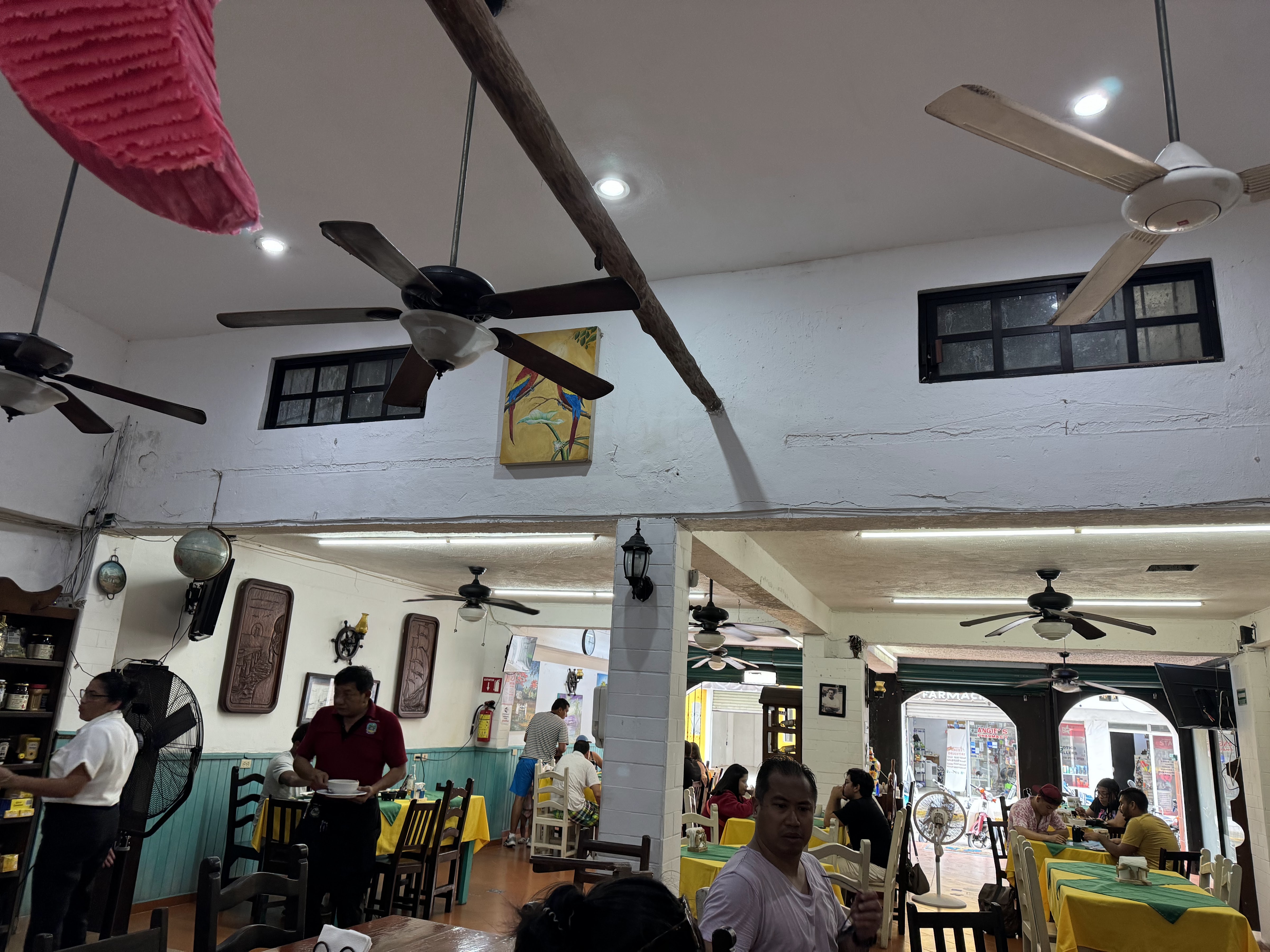 EL ABUELO GERARDO image 8