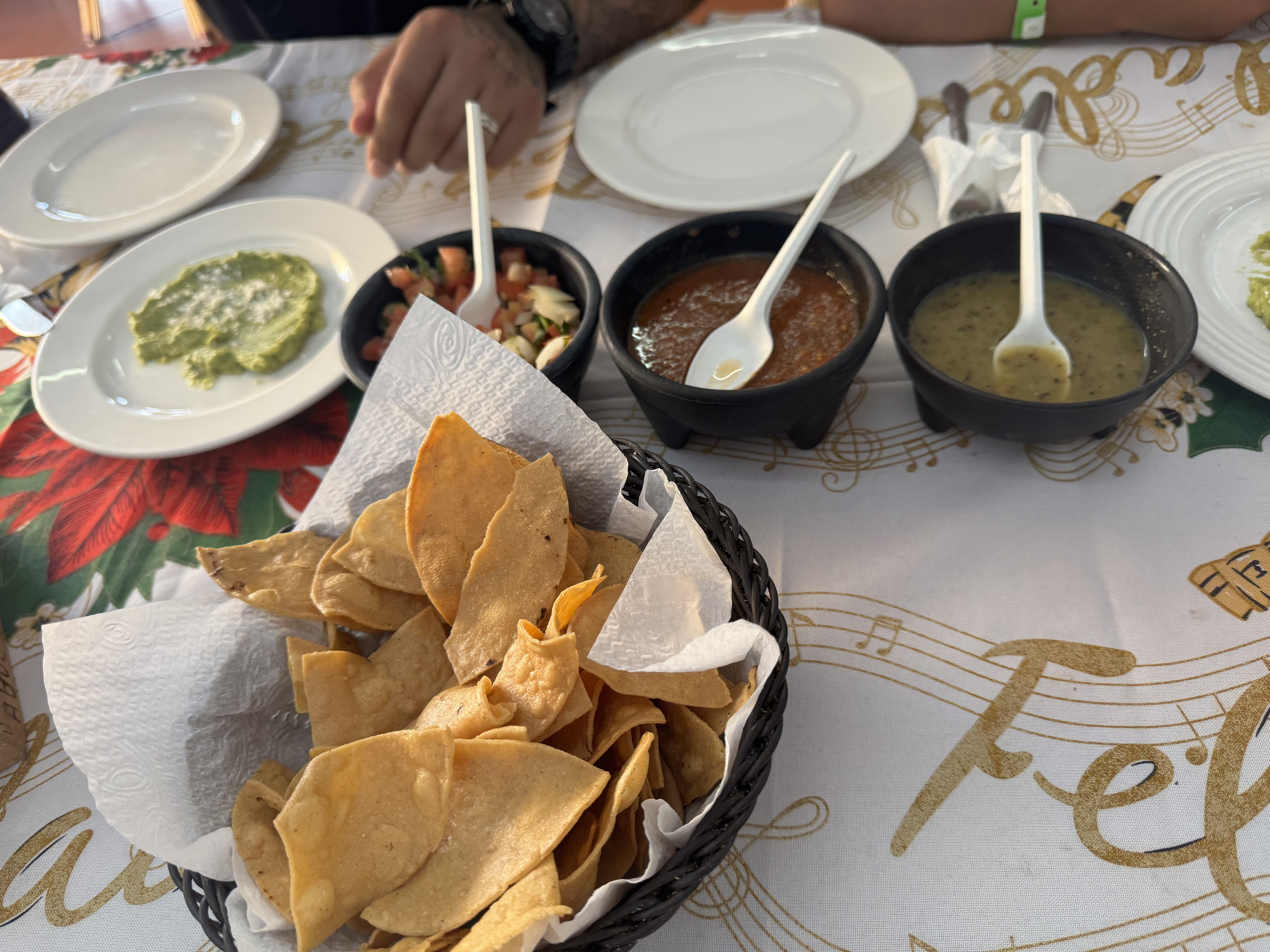 EL ABUELO GERARDO image 9