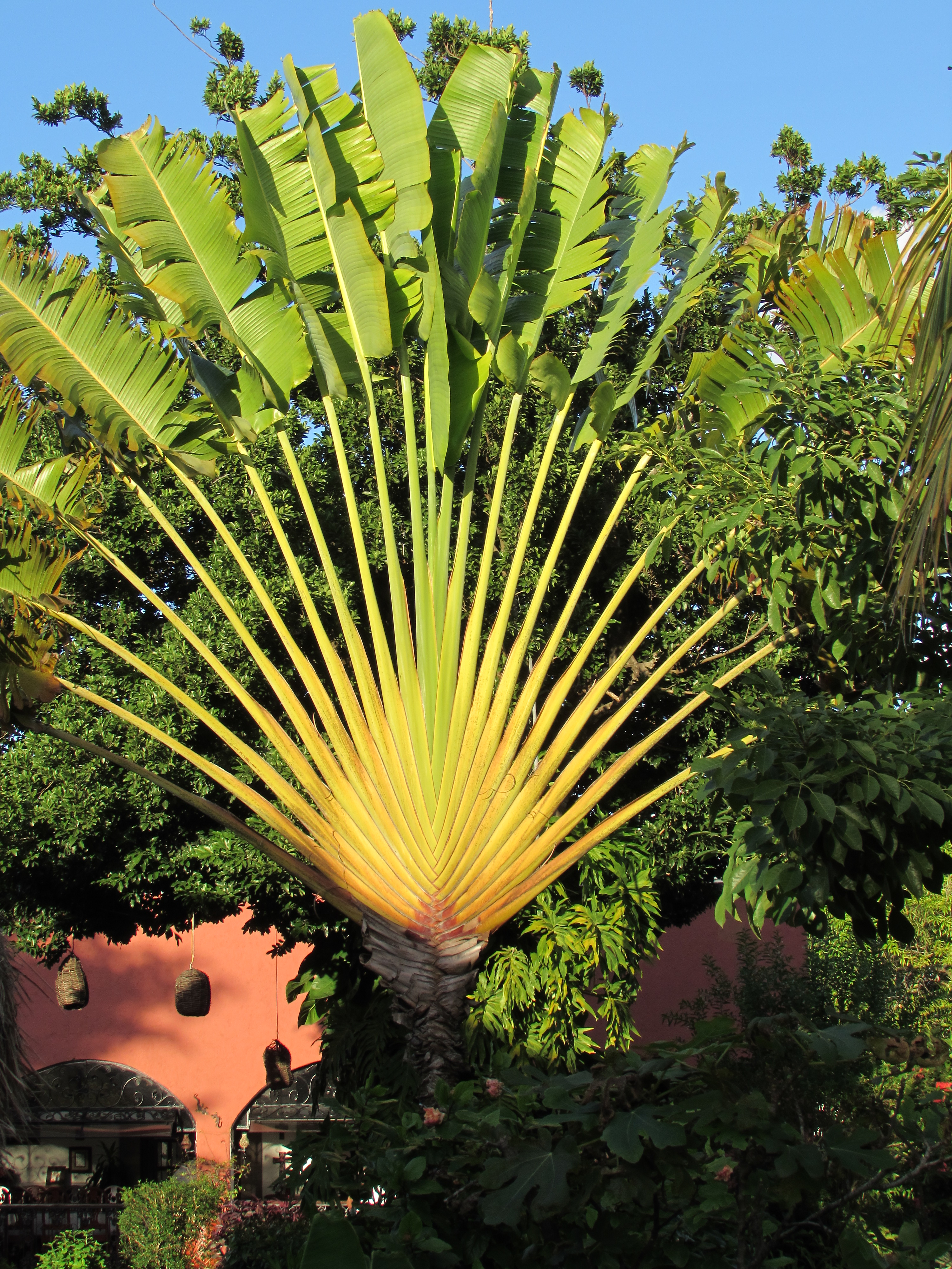 Parrilla Mission image 6