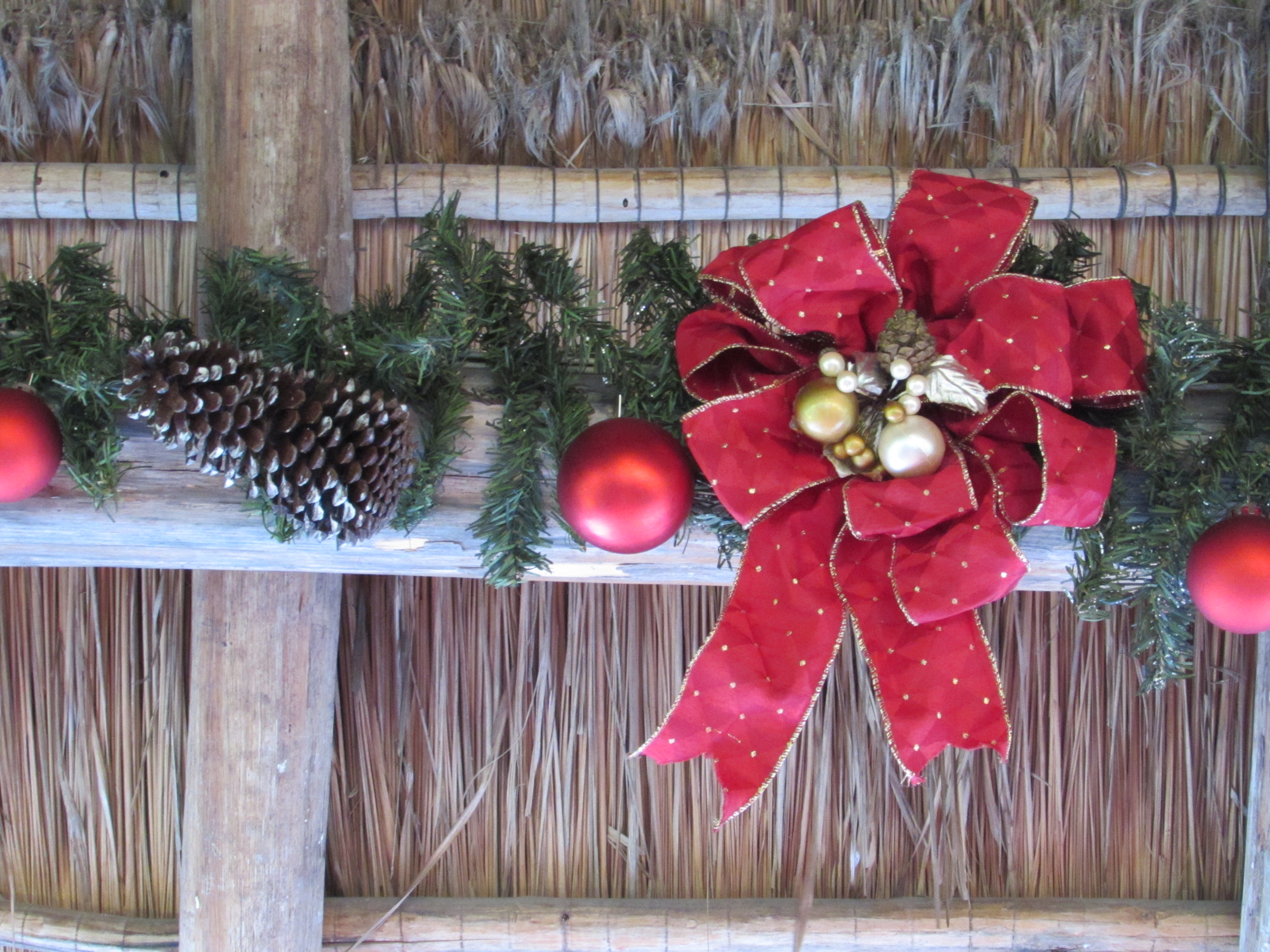 Parrilla Mission image 8