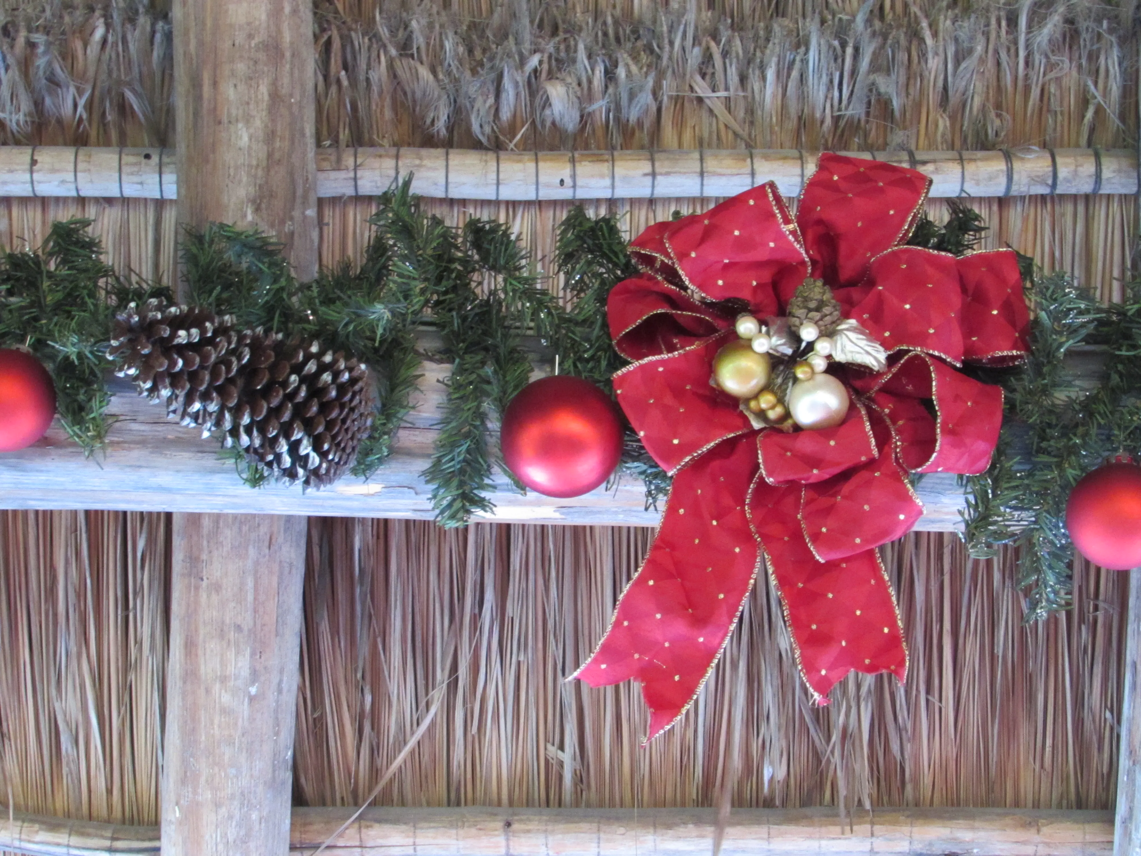 Parrilla Mission image 8