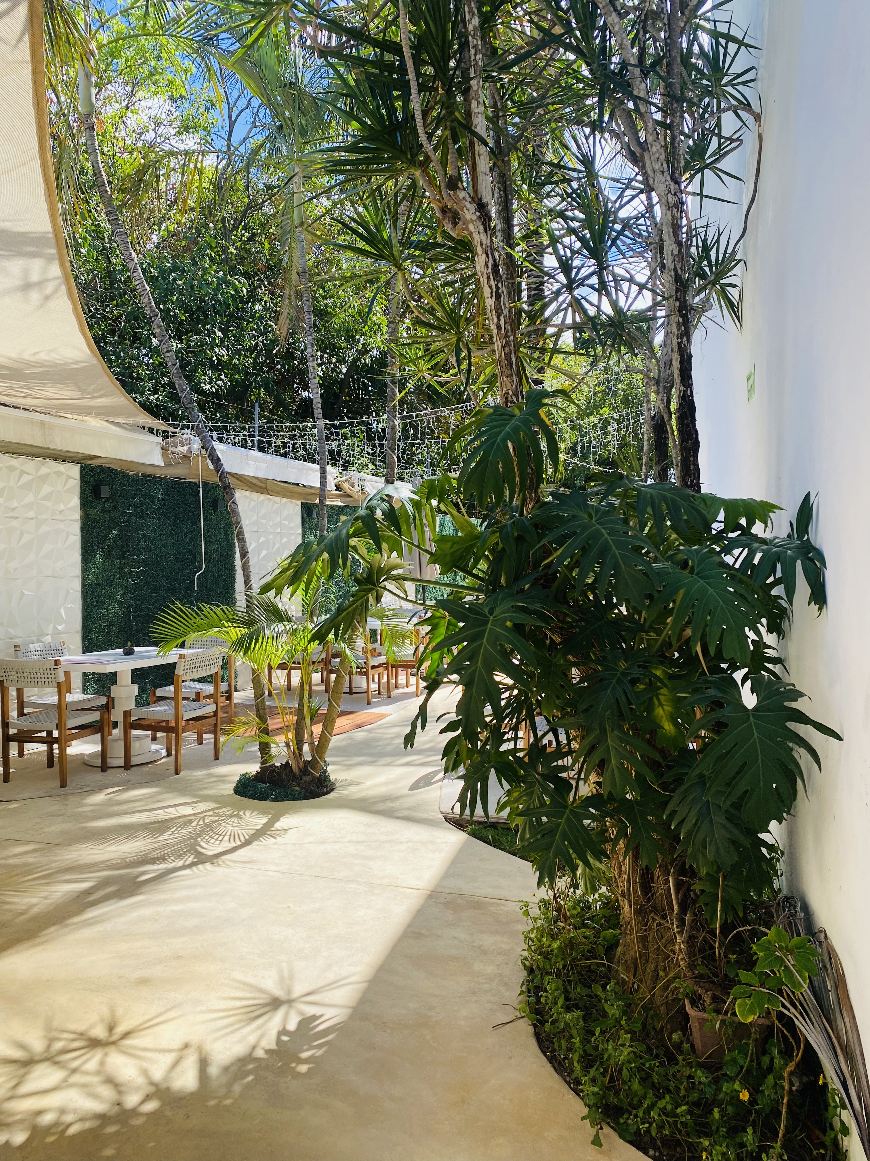 Chez Ame Restaurant image 9