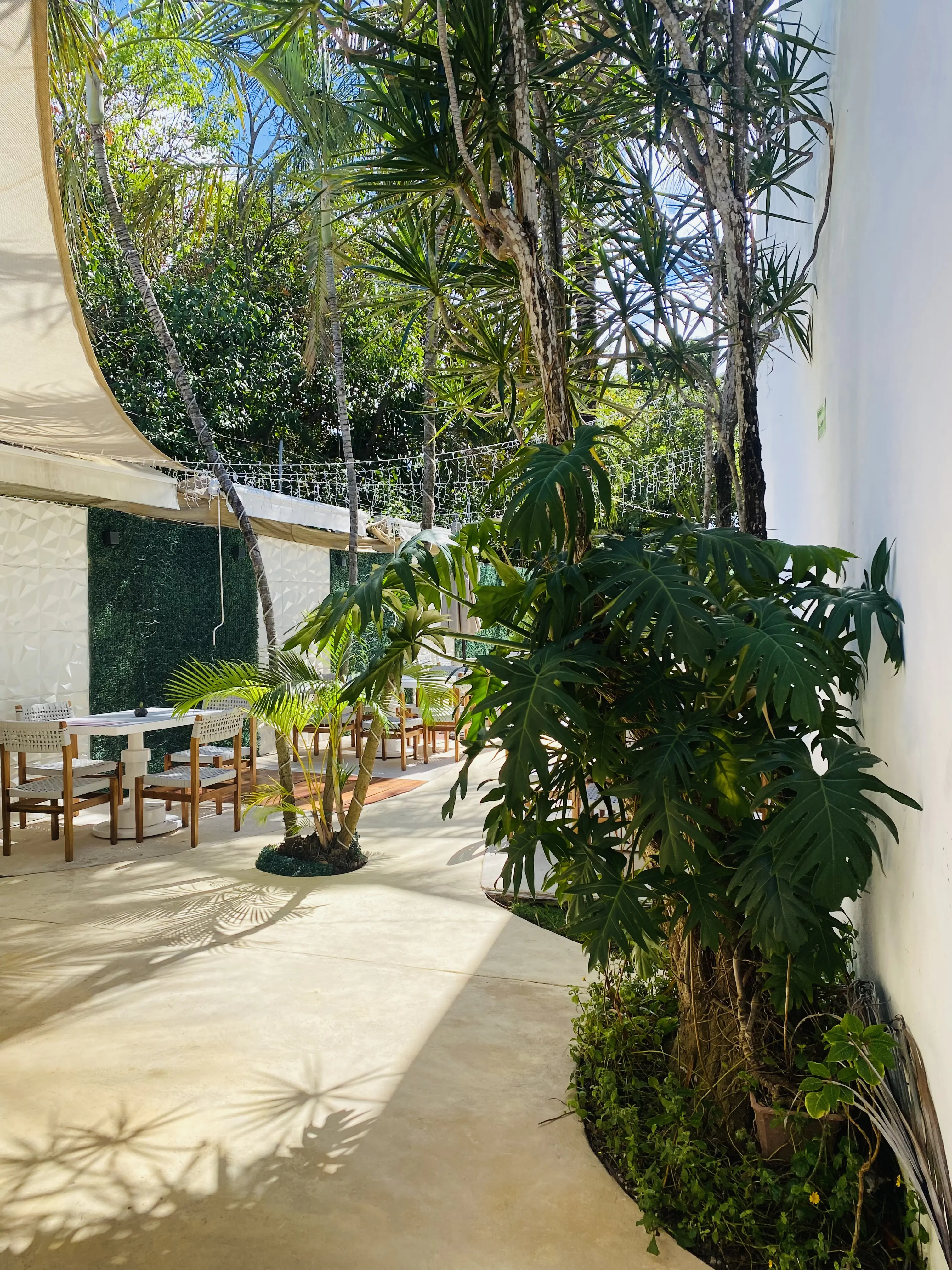 Chez Ame Restaurant image 9