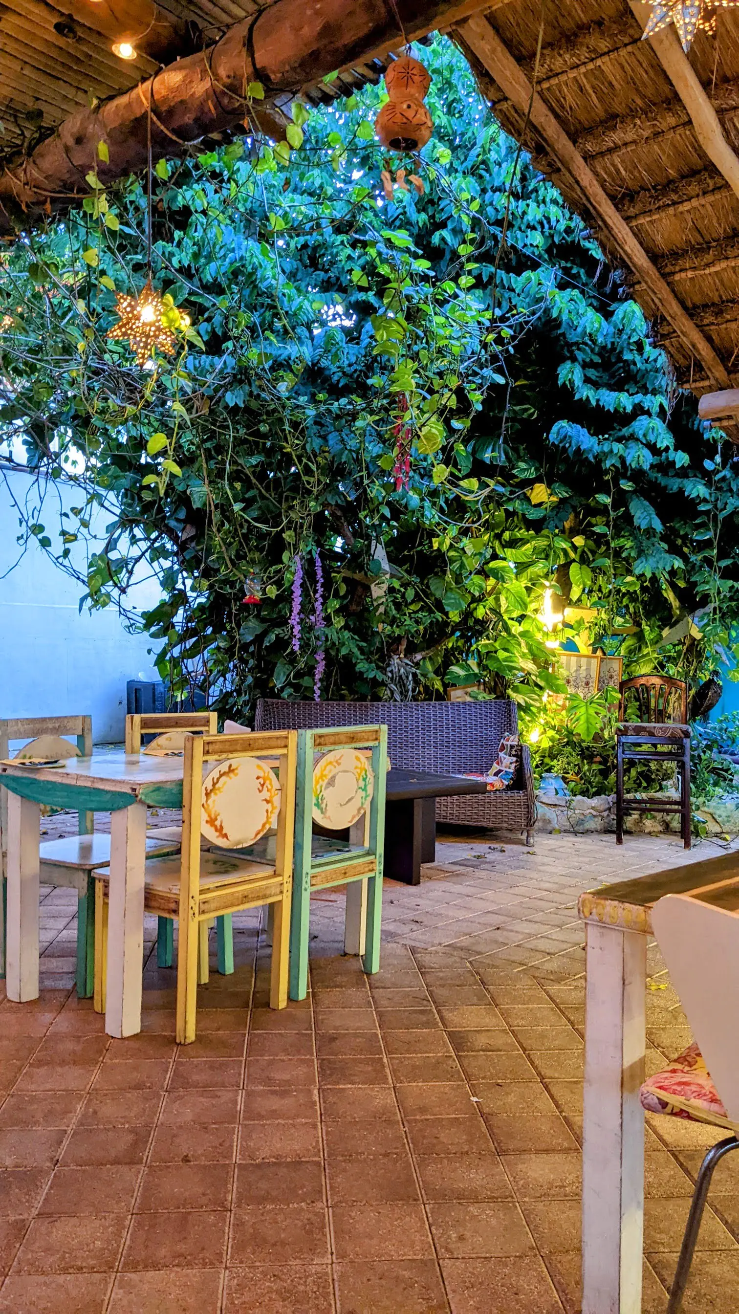 Restaurante Islander Cozumel image 1